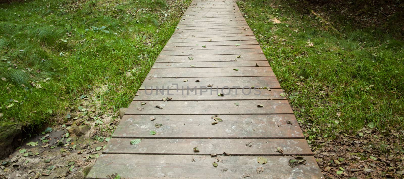 Narrow wooden walkway along grassland