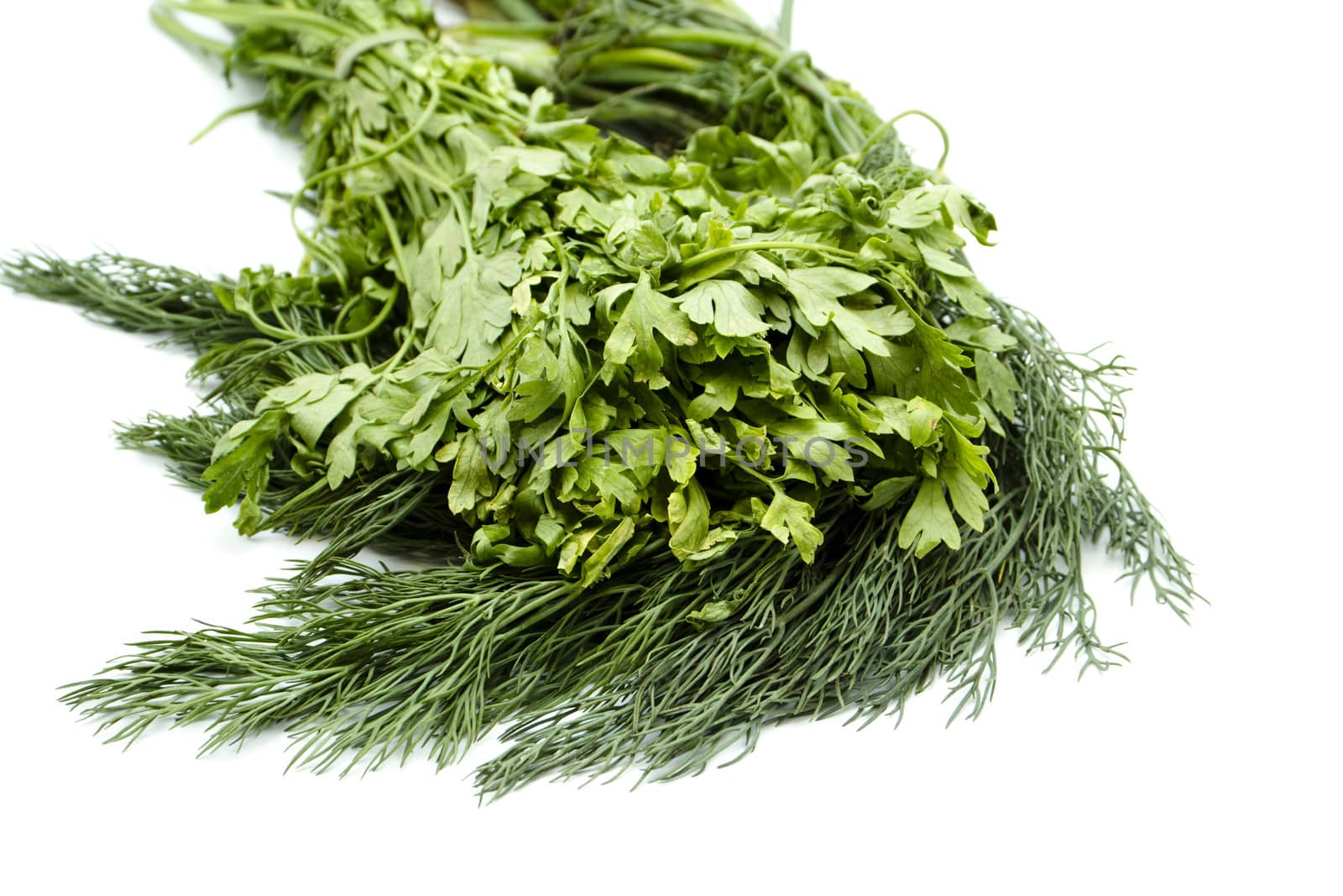 Fresh Green Parsley with Dill