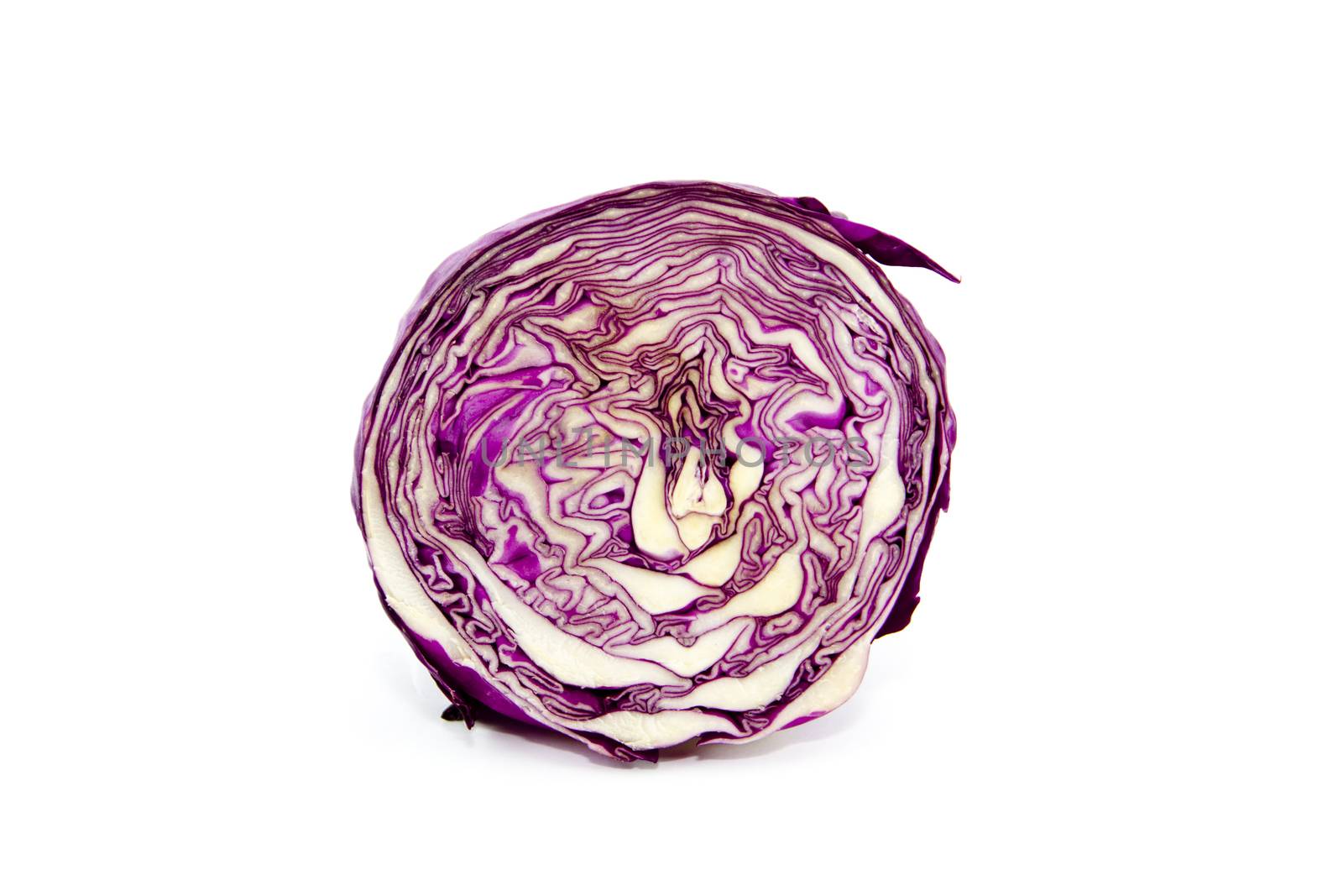 Fresh Red Cabbage on white background