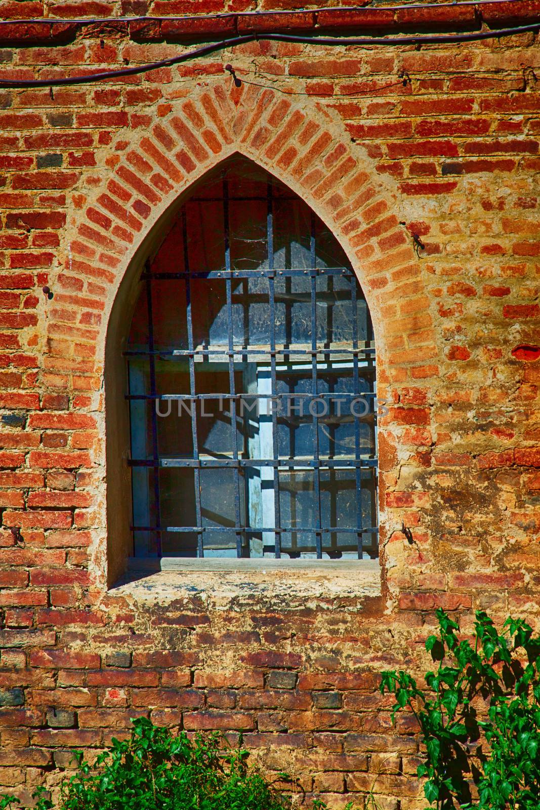 Castle window on a red brick wall, with plants