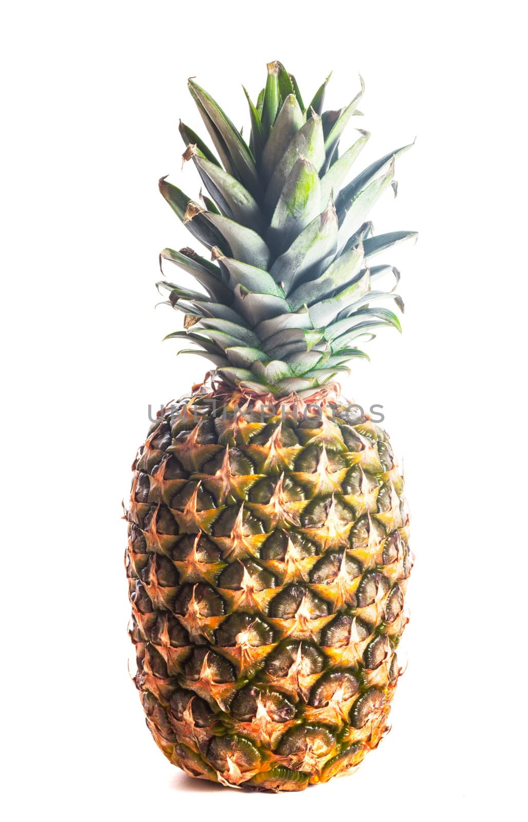 pineapple isolated by oksix