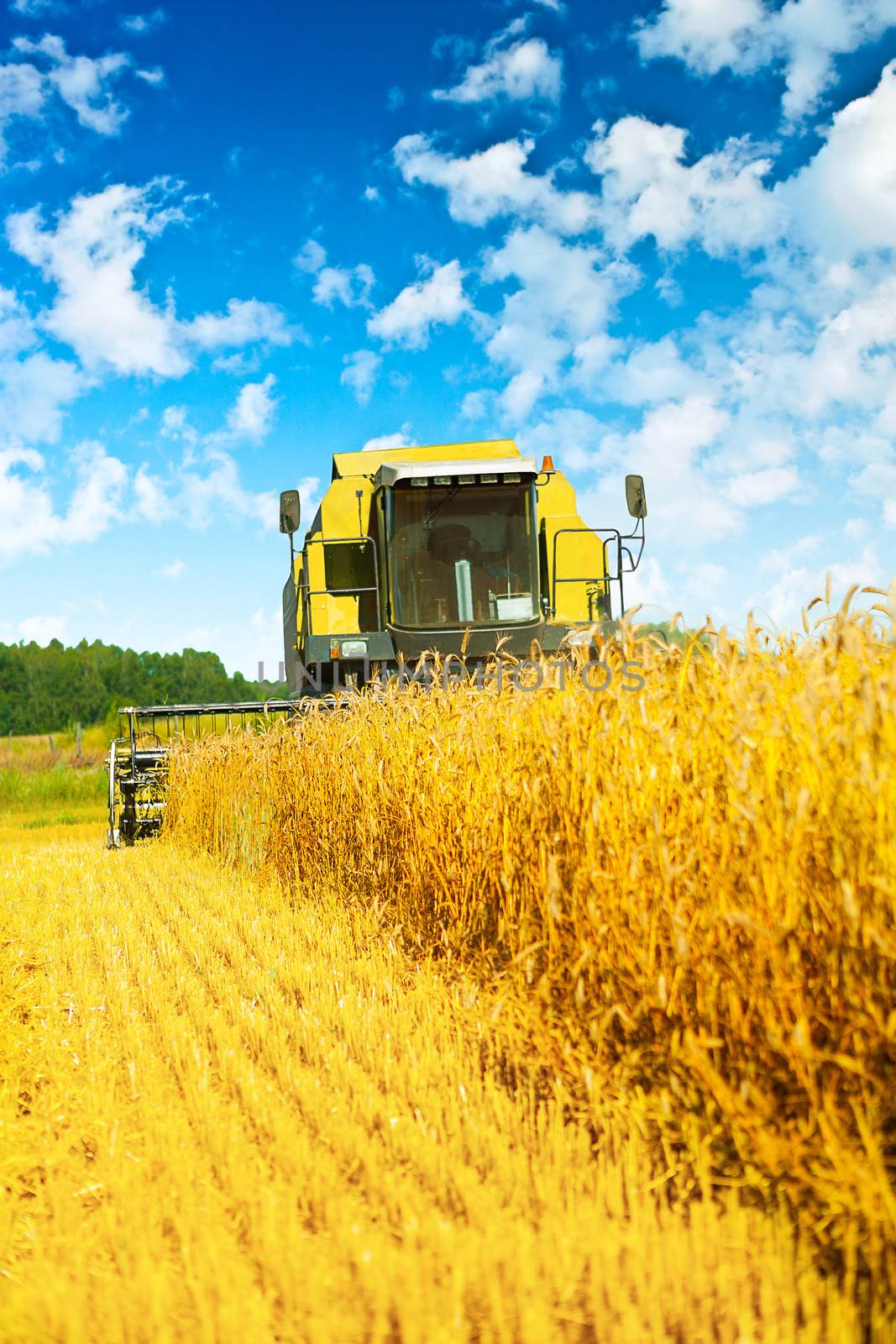 combine harvester in work