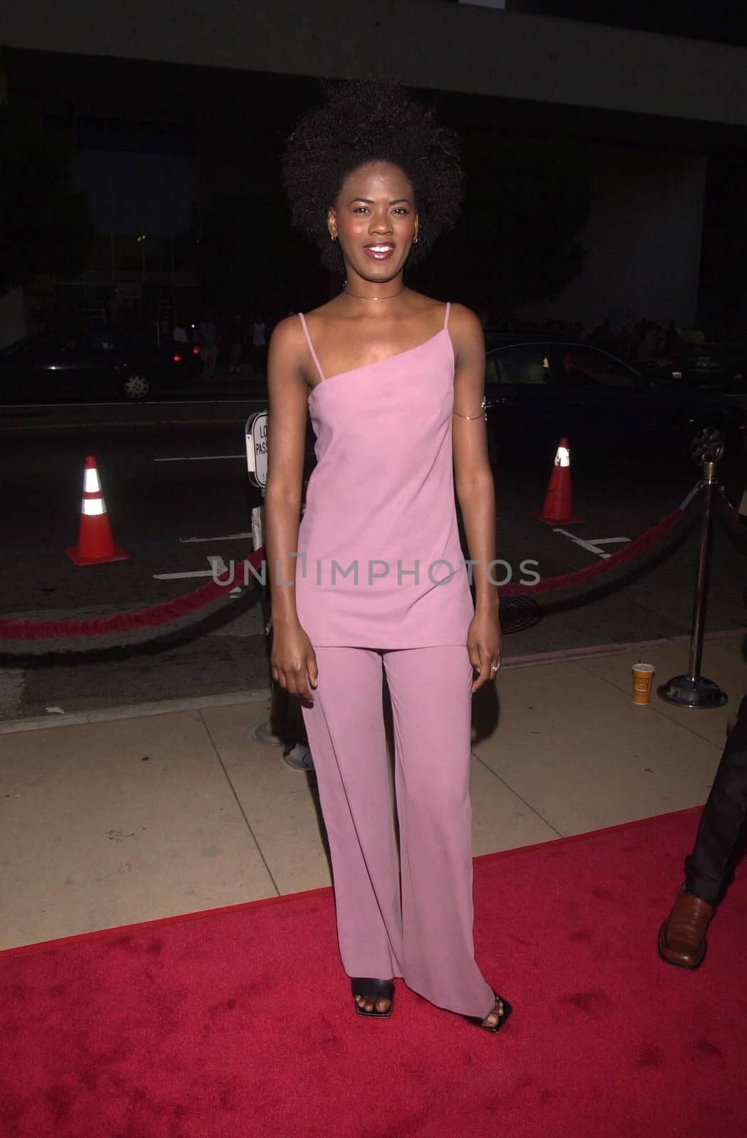 Tangi Miller at the premiere of the 20th Century Fox movie "BIG MOMMA'S HOUSE" in Hollywood, 05-31-00