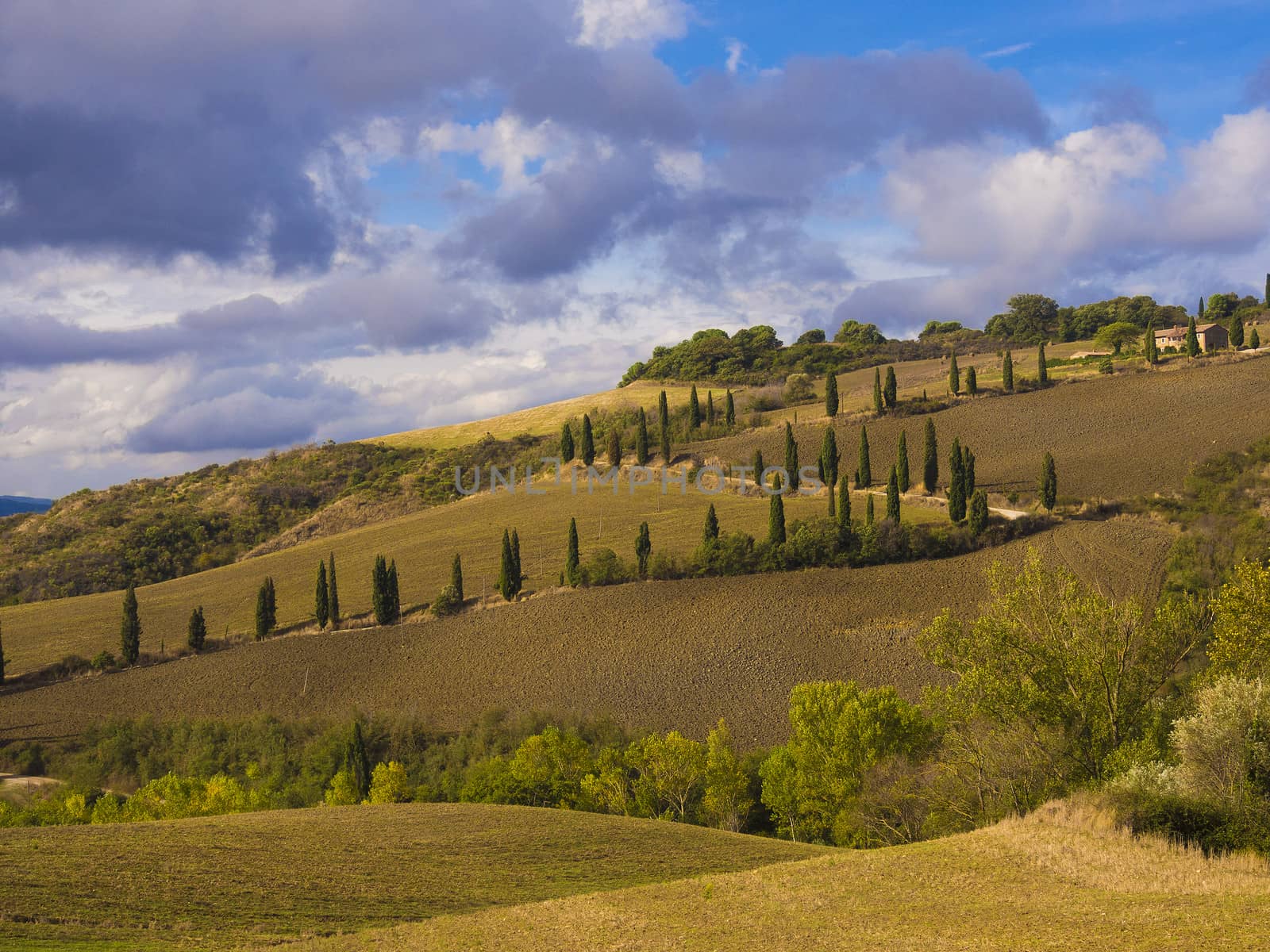 Agricultural landscape in Tuscany, Italy