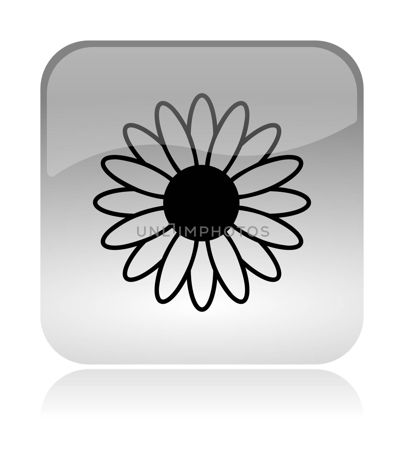Flower Spring Rounded Square Icon with Reflection Illustration Isolated on White Background