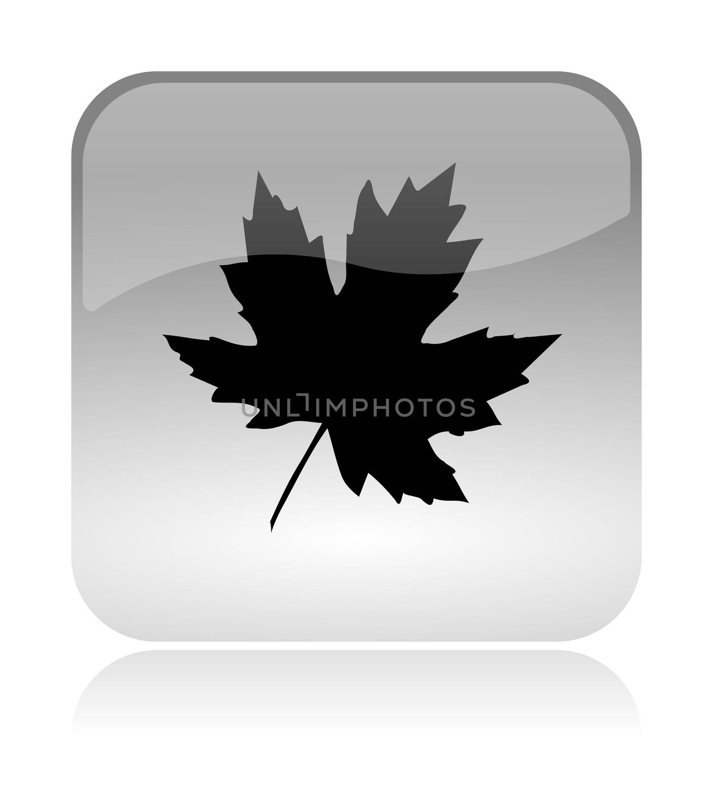 Leaf Autumn Icon by make