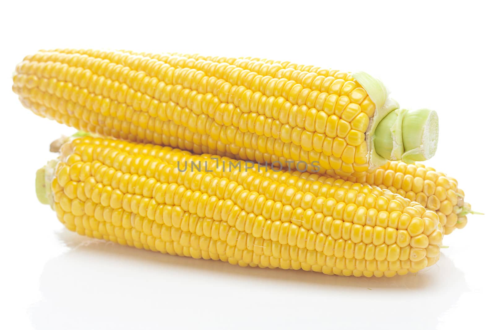 ripe yellow corn isolated on white