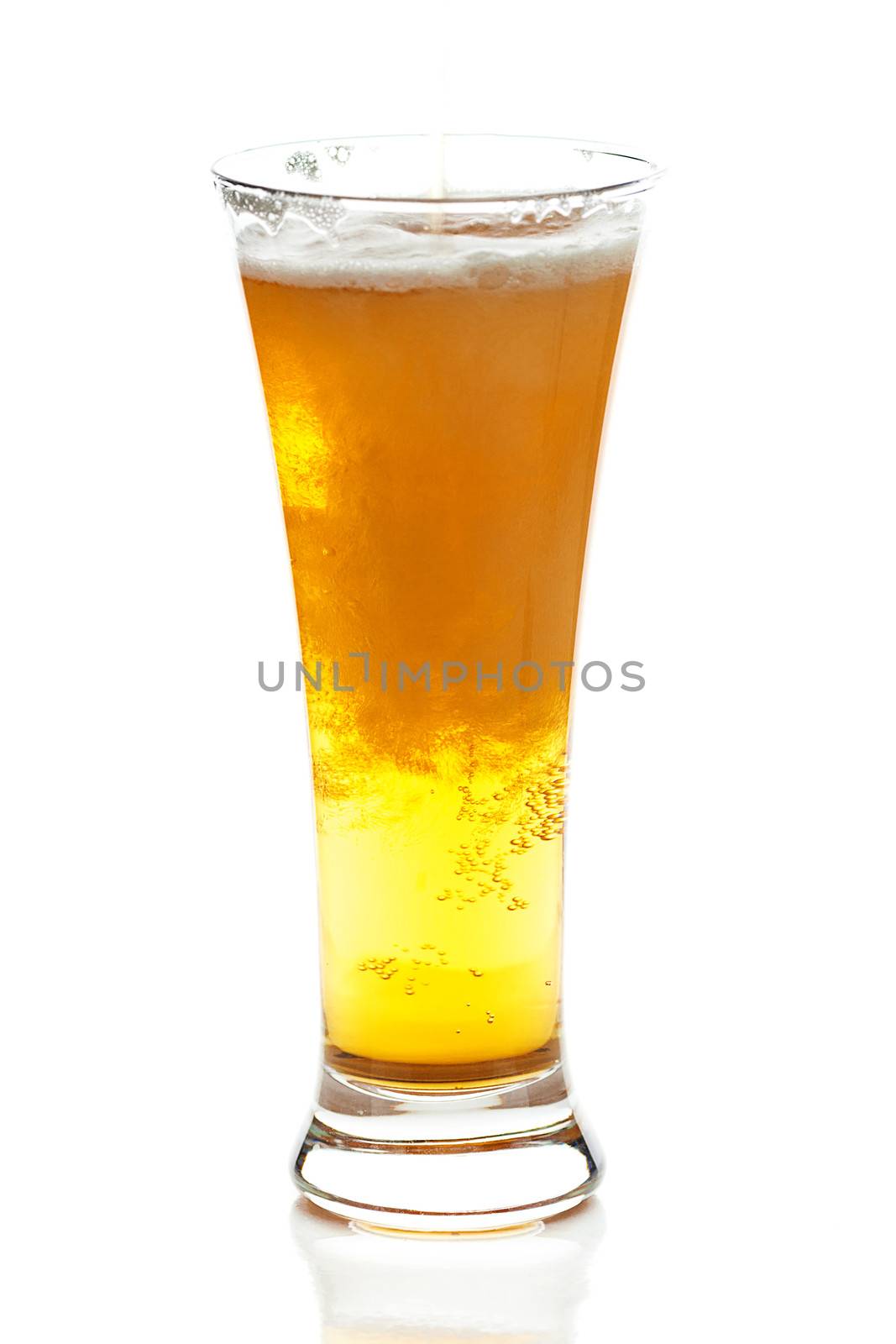 light beer with the foam in a tall glass isolated on white by jannyjus