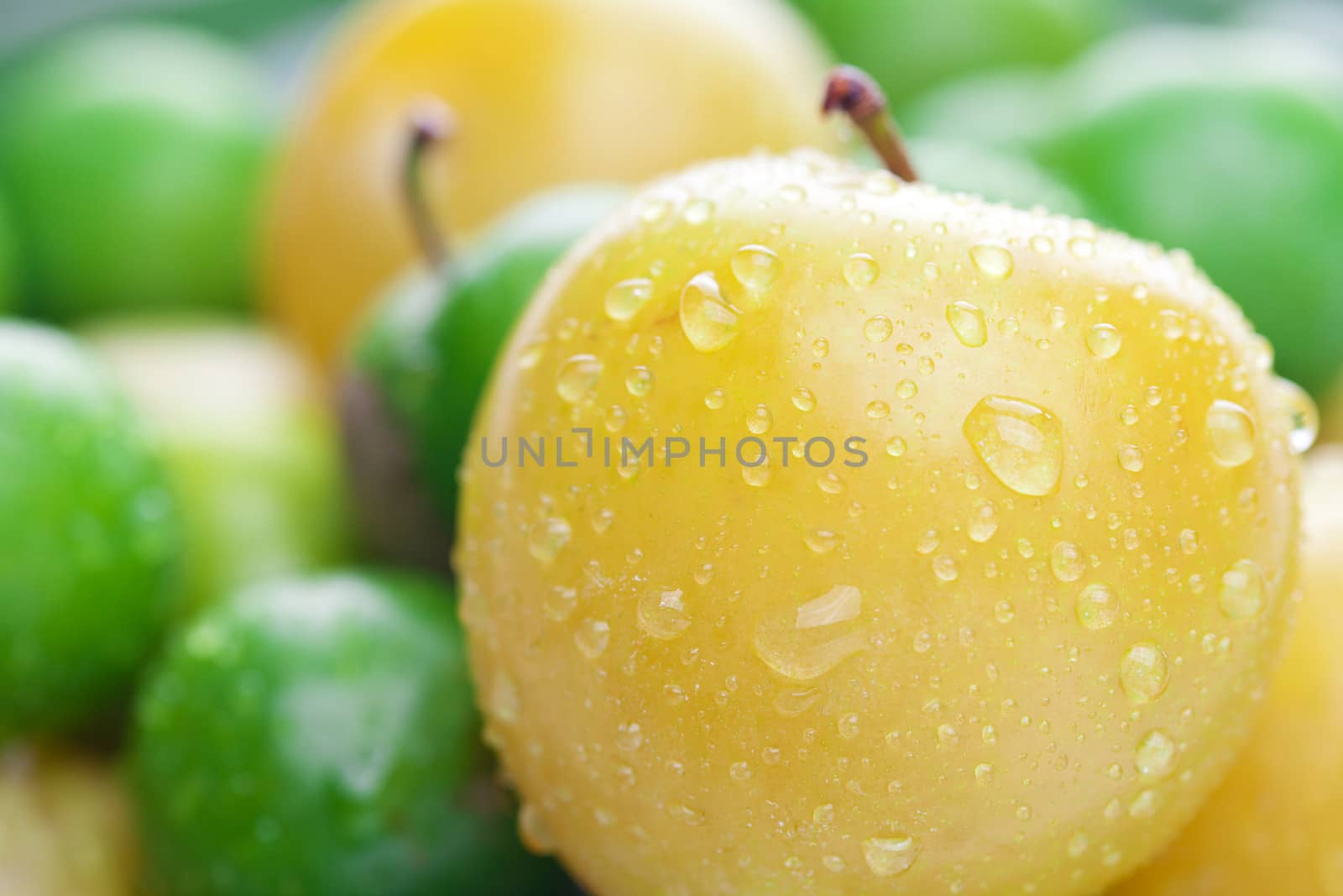 background of green and yellow plum by jannyjus