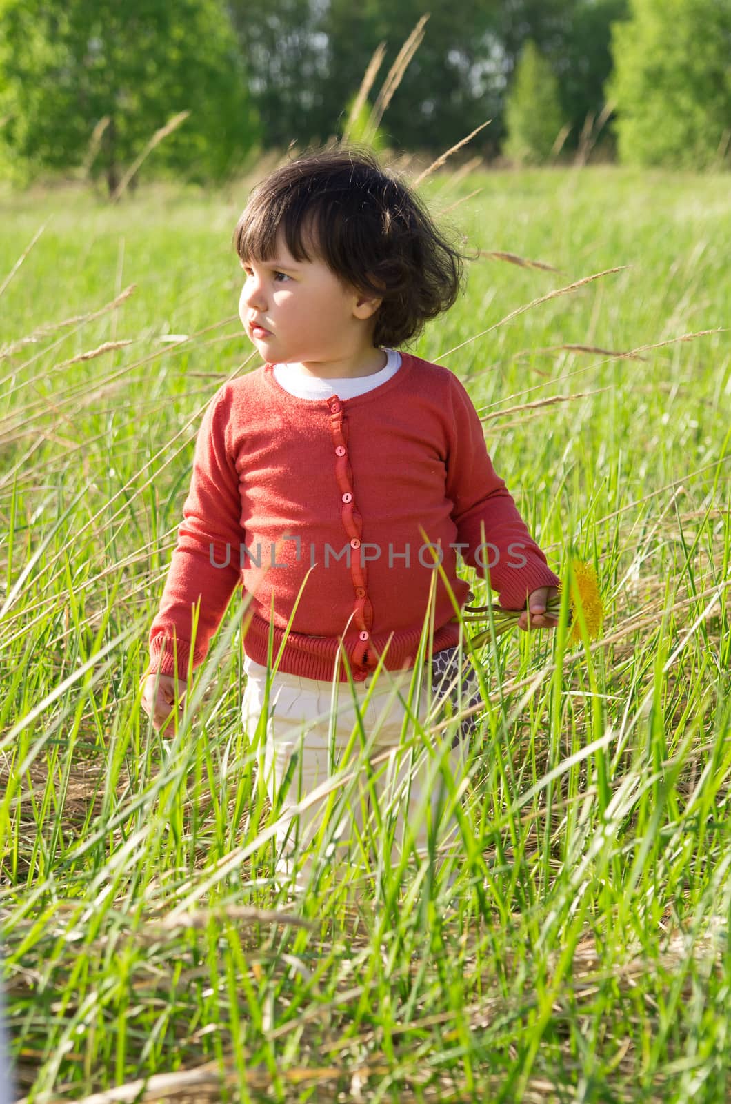 Little girl on meadow on sunny day