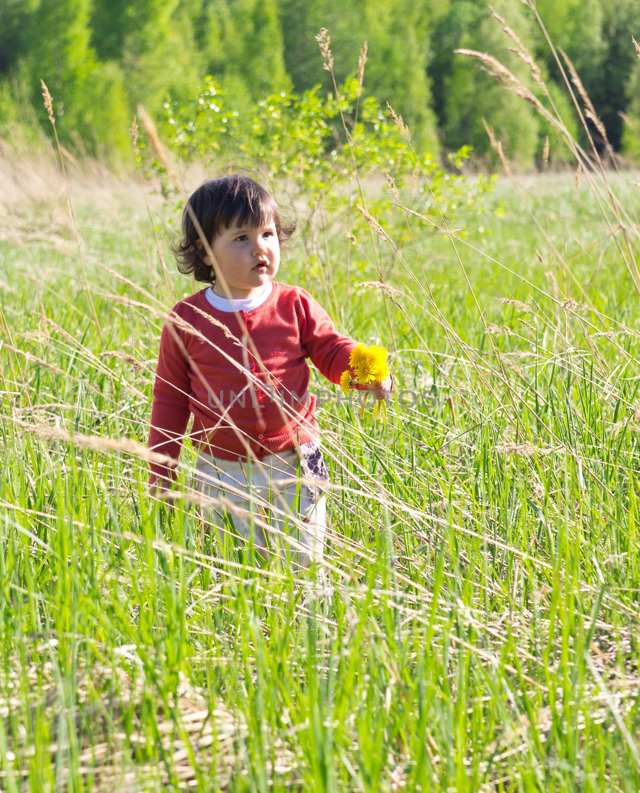 Little girl walking on meadow