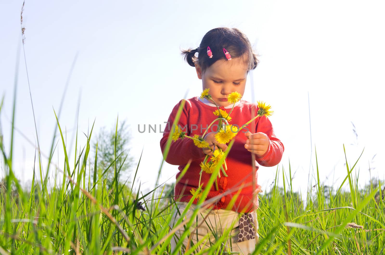 Little girl outdoors in high grass