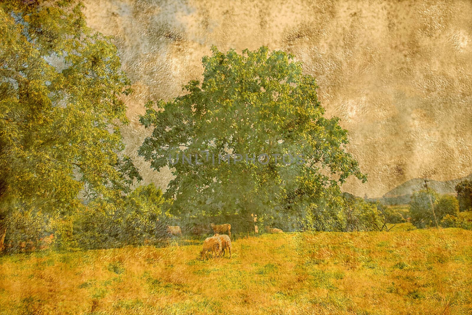 textured old paper background with  landscape shepherd  and tree by Carche