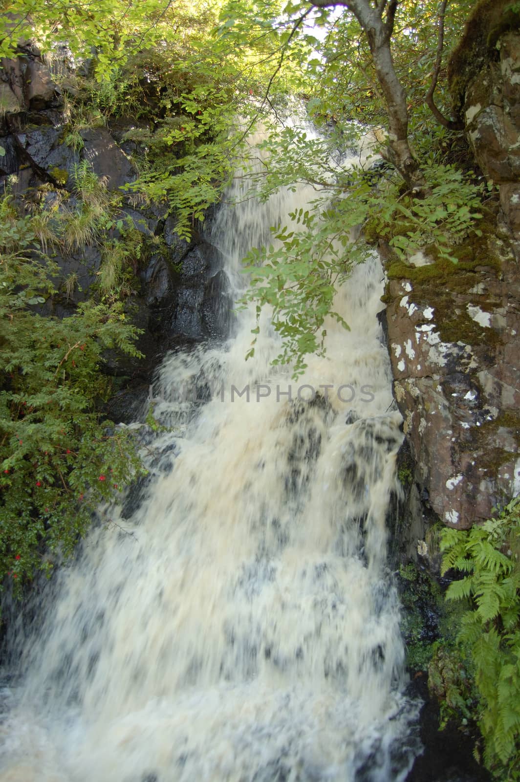 Waterfall in the garden at Dunvegan Castle Skye