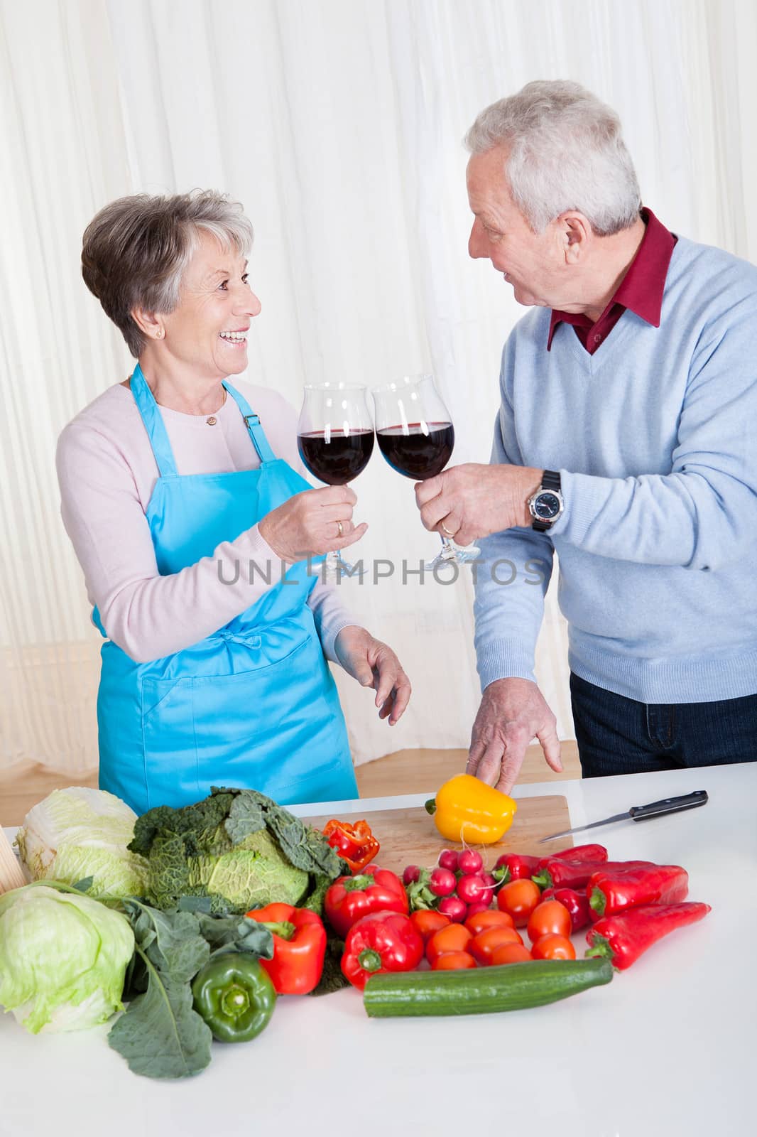 Senior Couple Toasting Wine by AndreyPopov