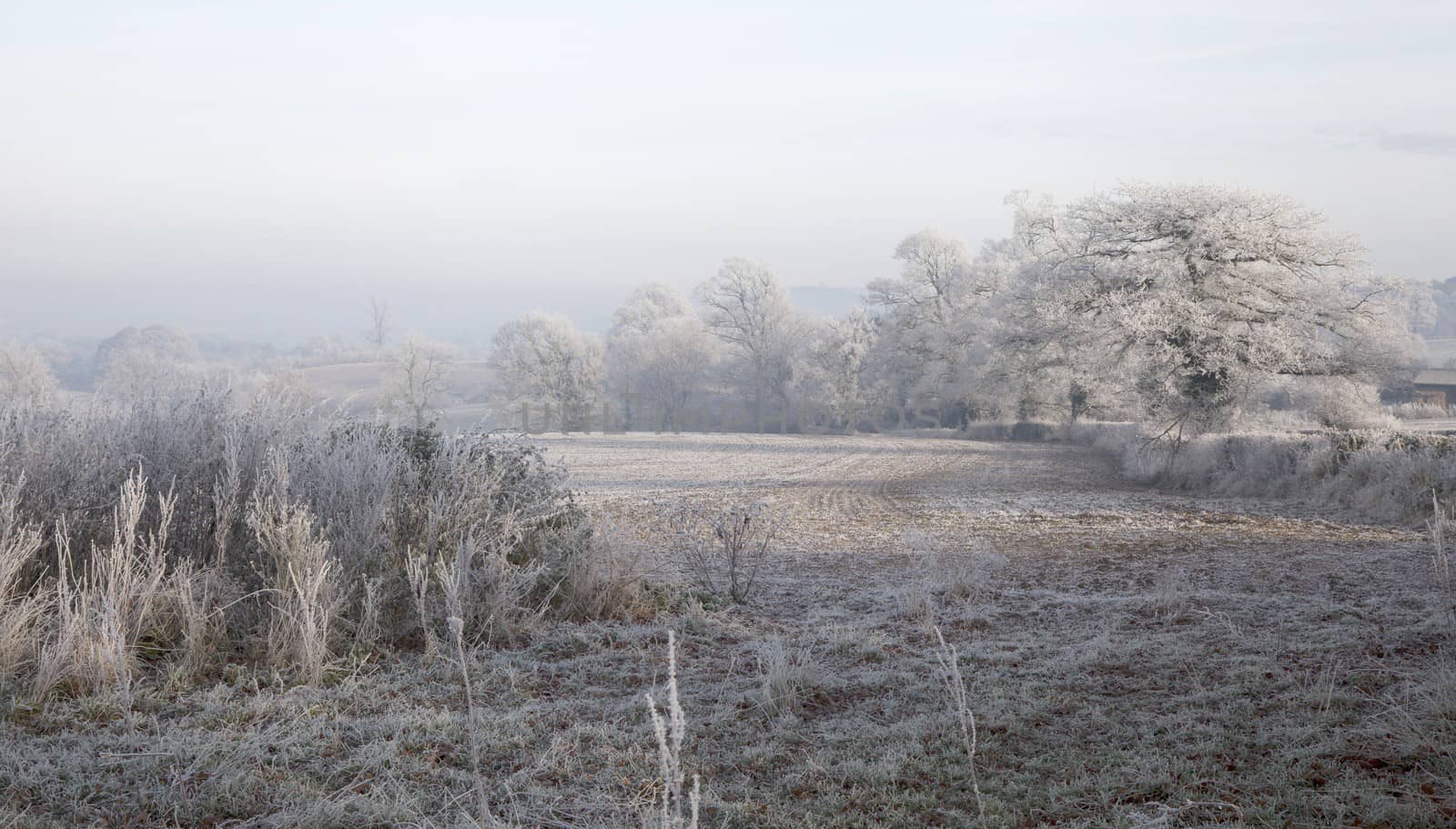 Rural countryside with hoar frost near Chipping Campden, Gloucestershire, England.