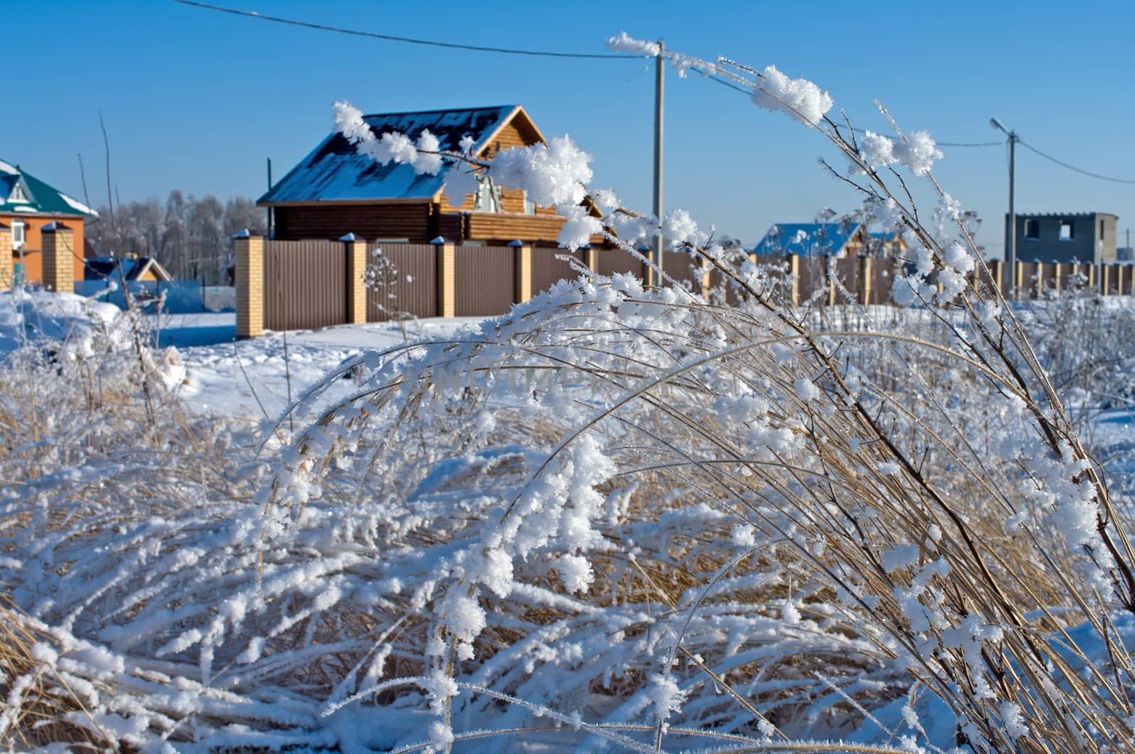 Winter rural landscape in the sunny day.