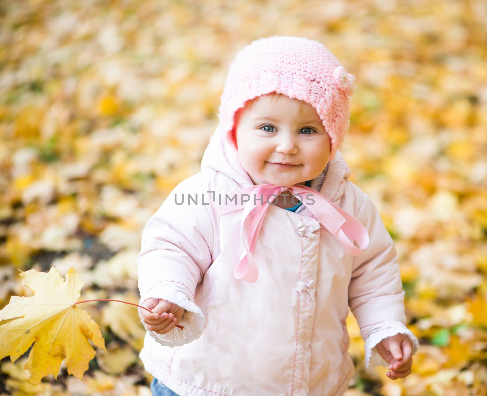 little cute baby girl in the park with autumn leaves