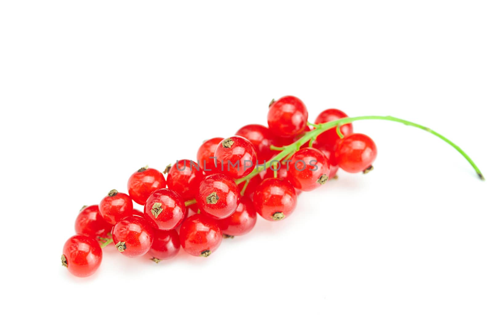 branch of  red currant isolated on white by jannyjus