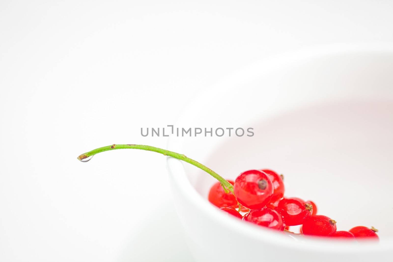 branch of red currants and a cup with a plate isolated on white by jannyjus