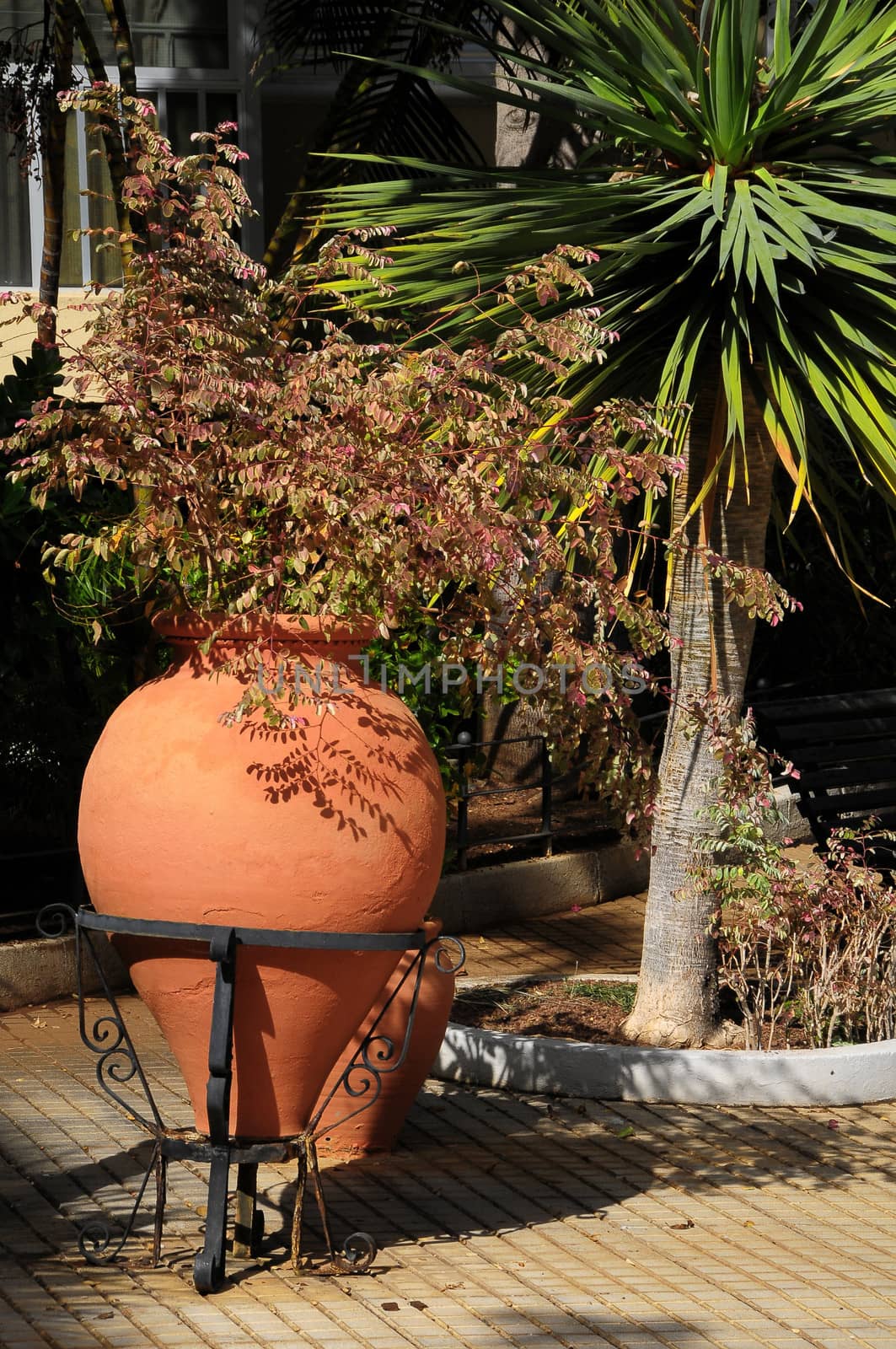Terracotta Vases with Plants on an Urban Garden