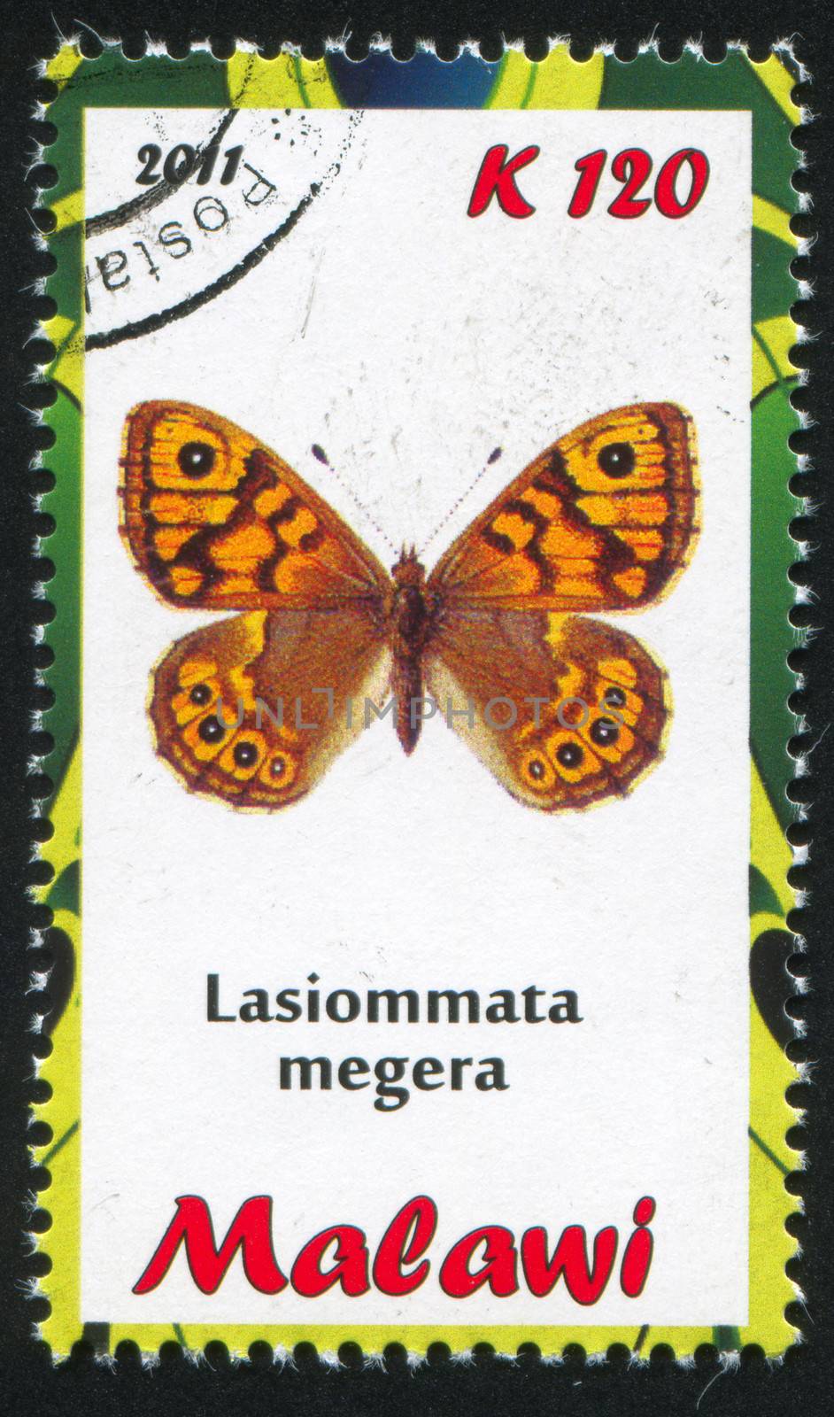 MALAWI - CIRCA 2011: stamp printed by Malawi, shows butterfly, circa 2011