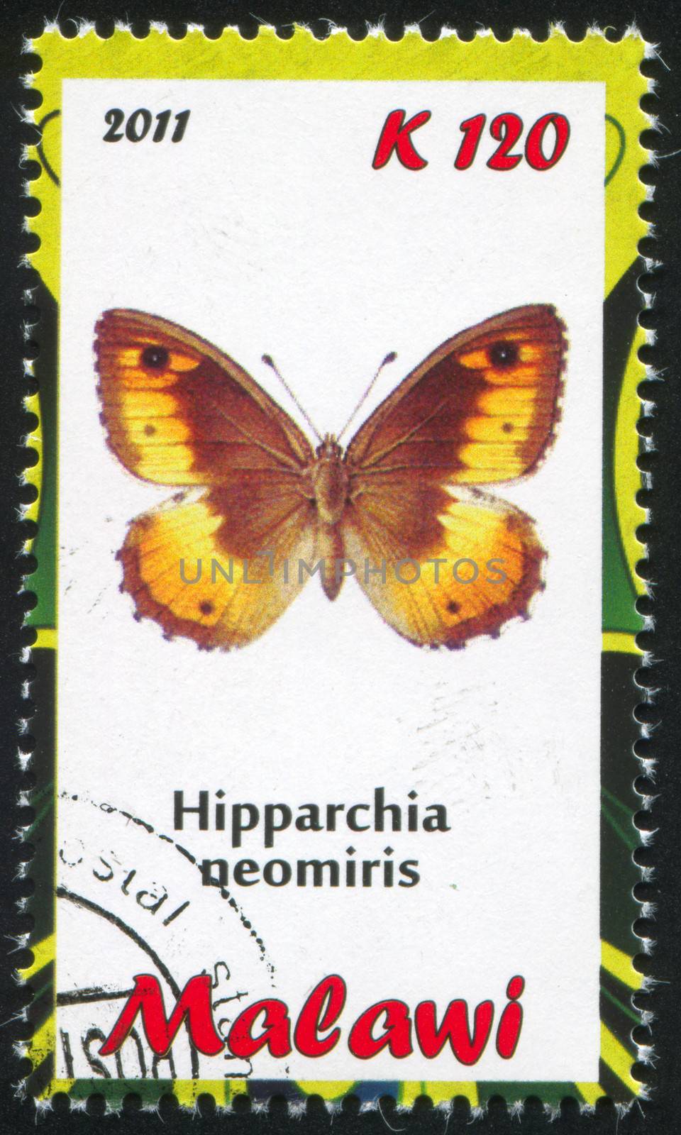 MALAWI - CIRCA 2011: stamp printed by Malawi, shows butterfly, circa 2011