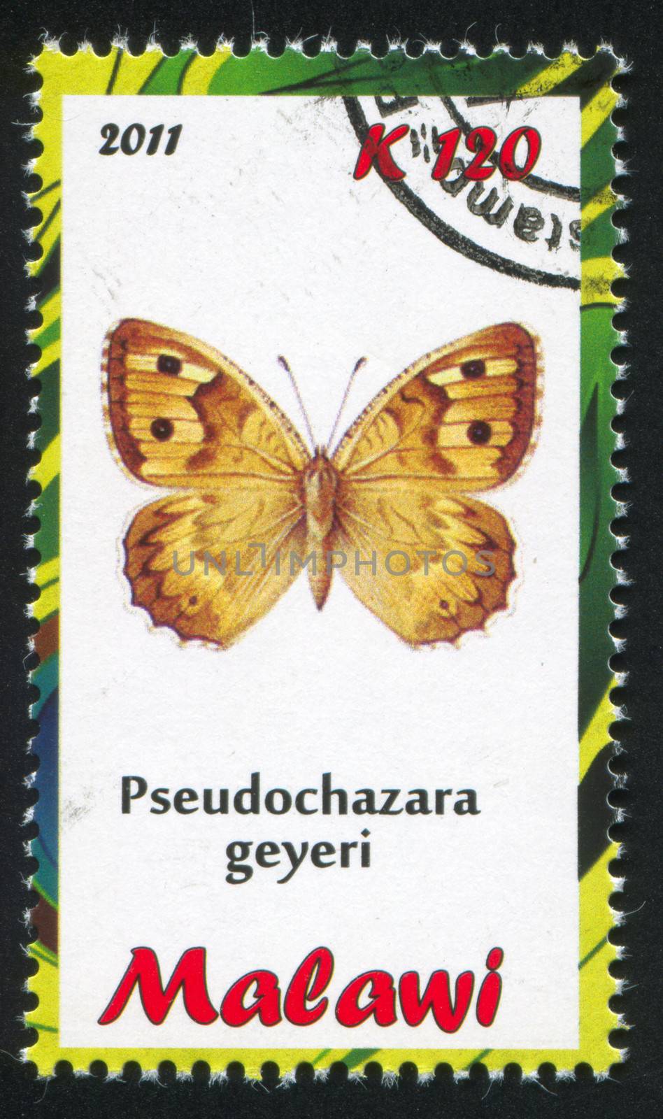 MALAWI - CIRCA 2011: stamp printed by Malawi, shows butterfly, circa 2011