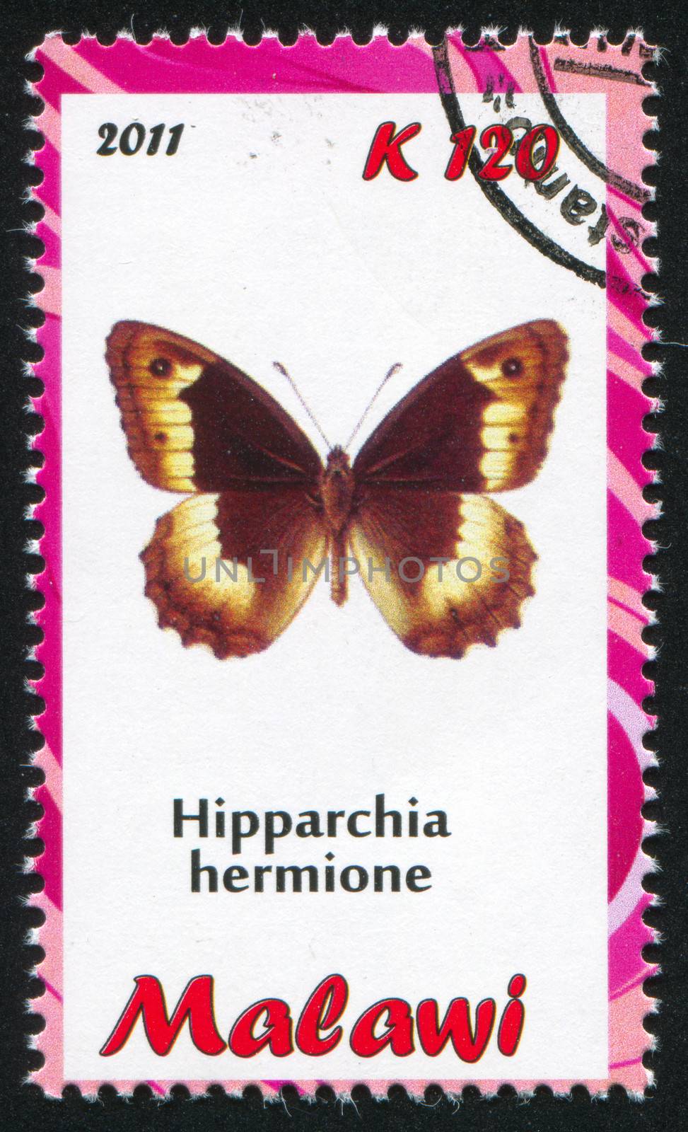 MALAWI - CIRCA 2011: stamp printed by Malawi, shows butterfly, circa 2011