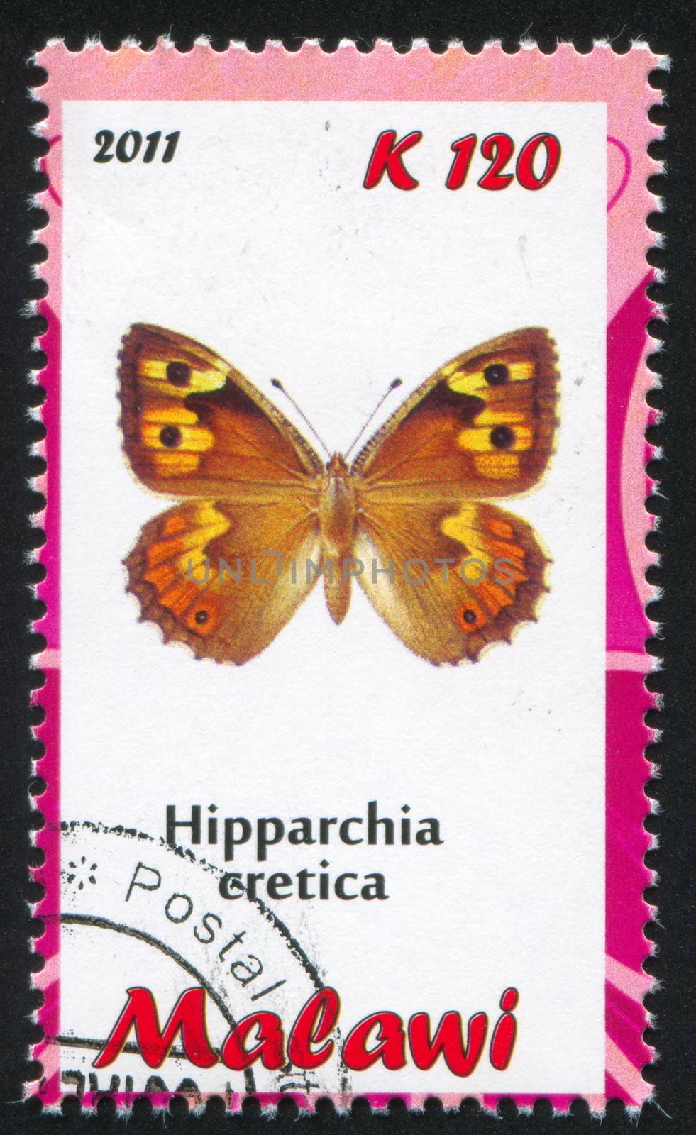 MALAWI - CIRCA 2011: stamp printed by Malawi, shows butterfly, circa 2011