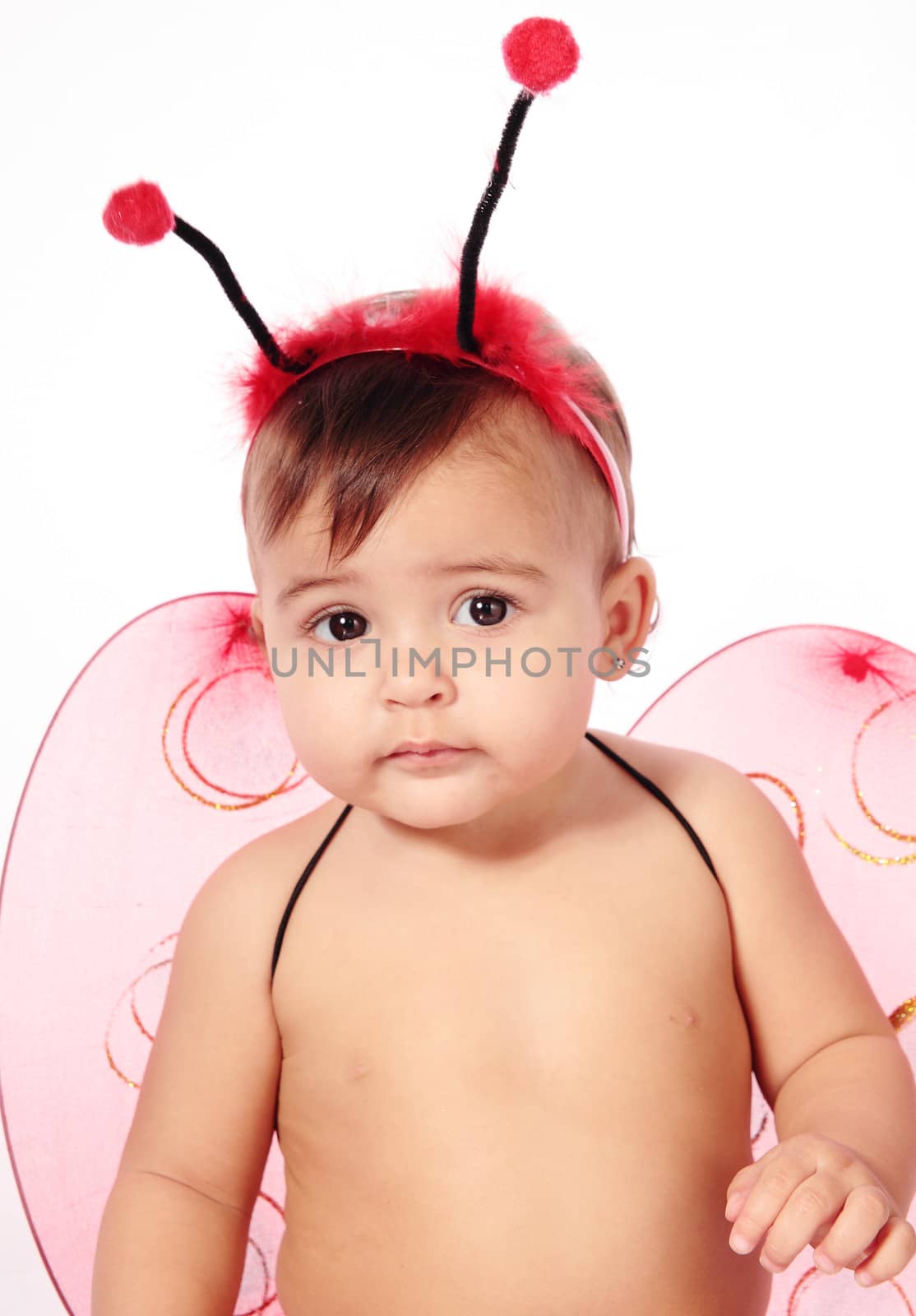 disguised baby ladybug