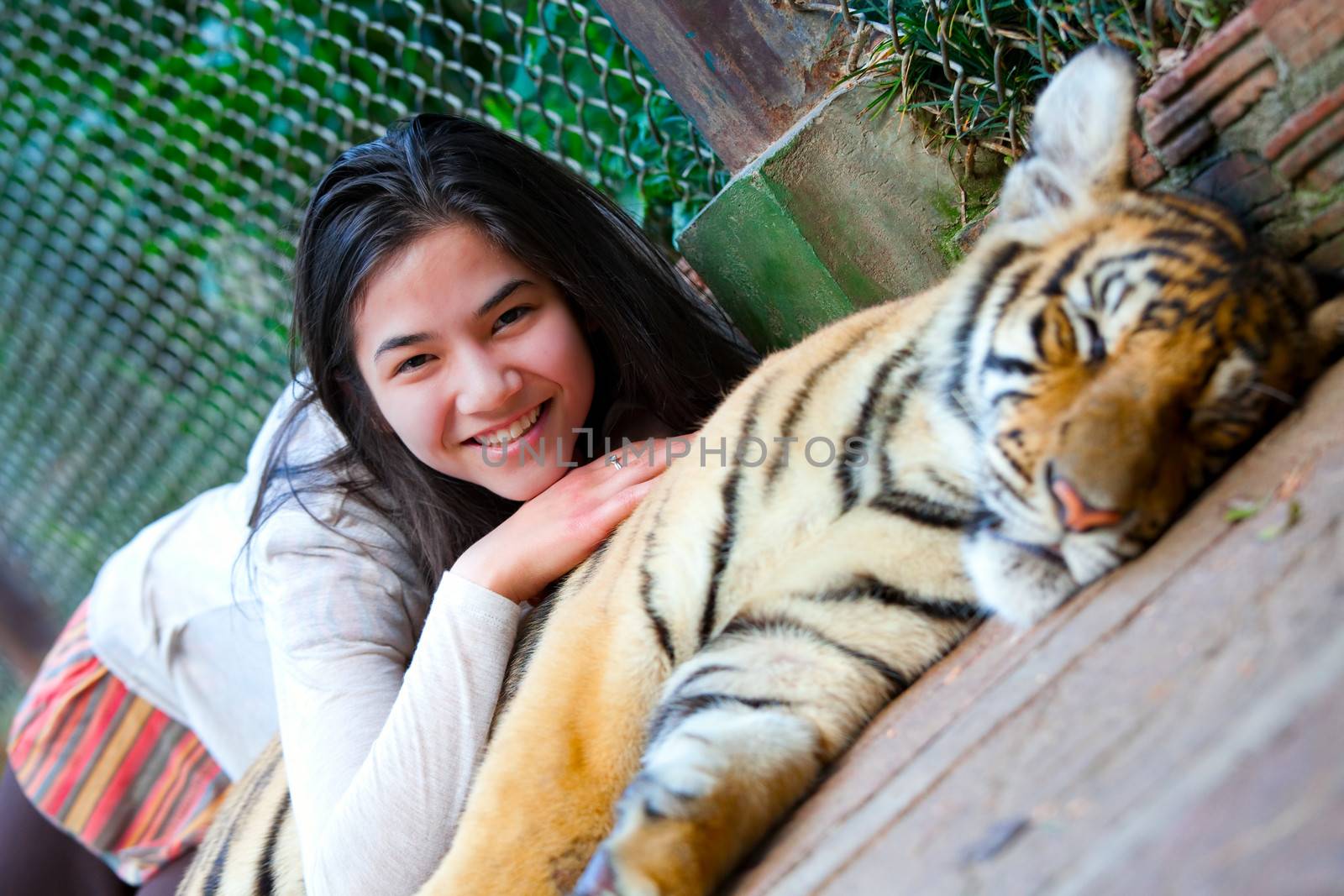 Biracial teen playing with sleeping tiger cub in Thailand