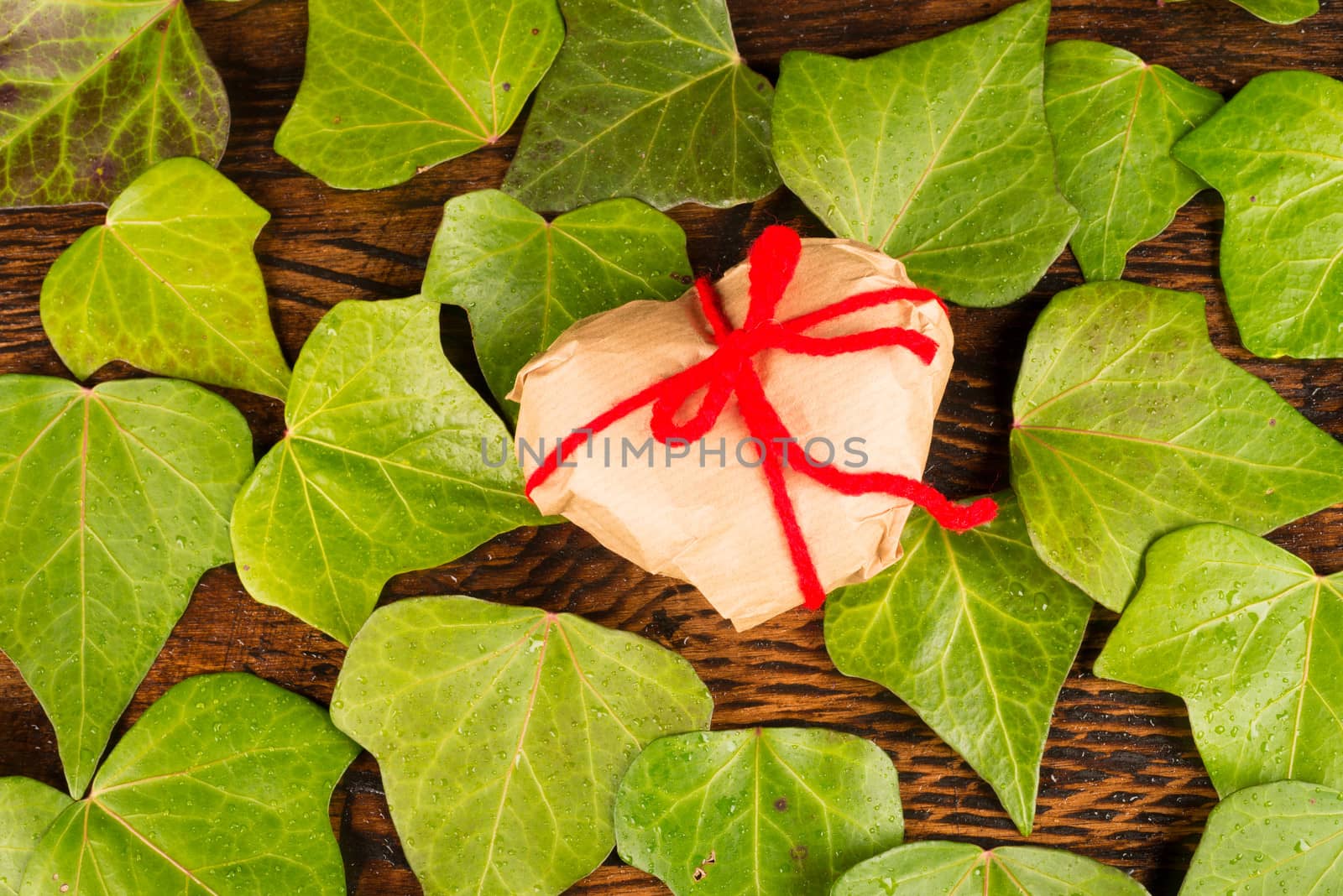 Heart shaped  Valentines present among fresh ivy leaves