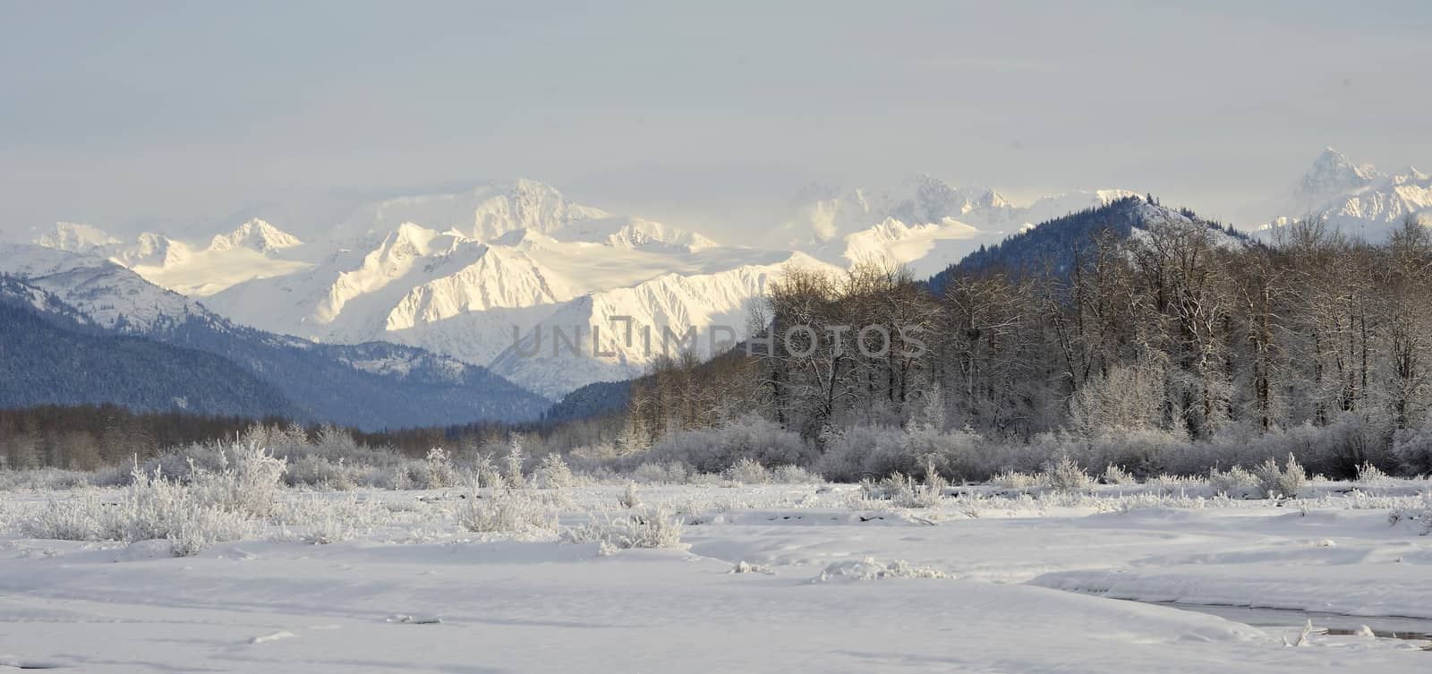 Snowcovered Mountains in  Alaska. by SURZ