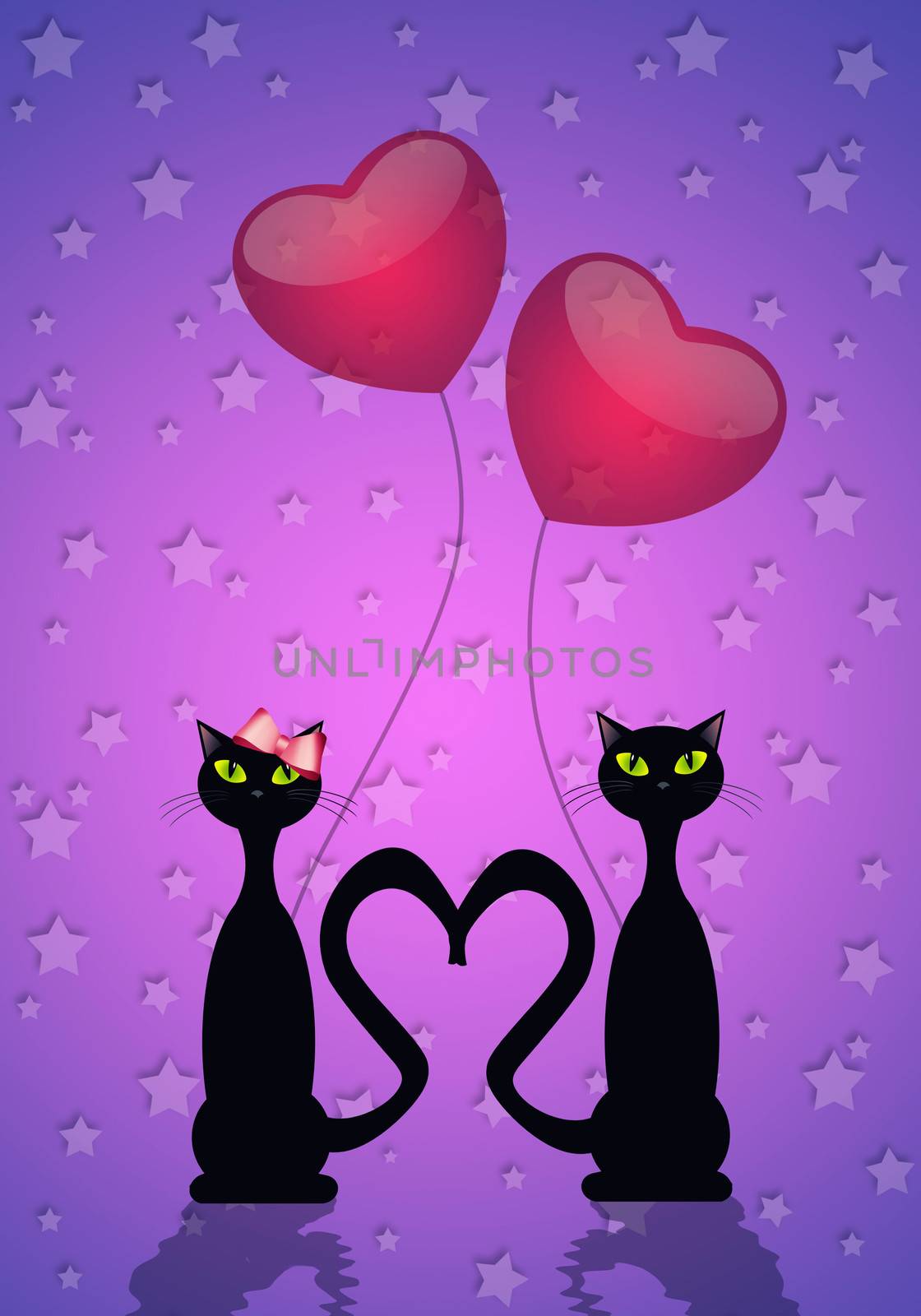 two cats in love by sognolucido