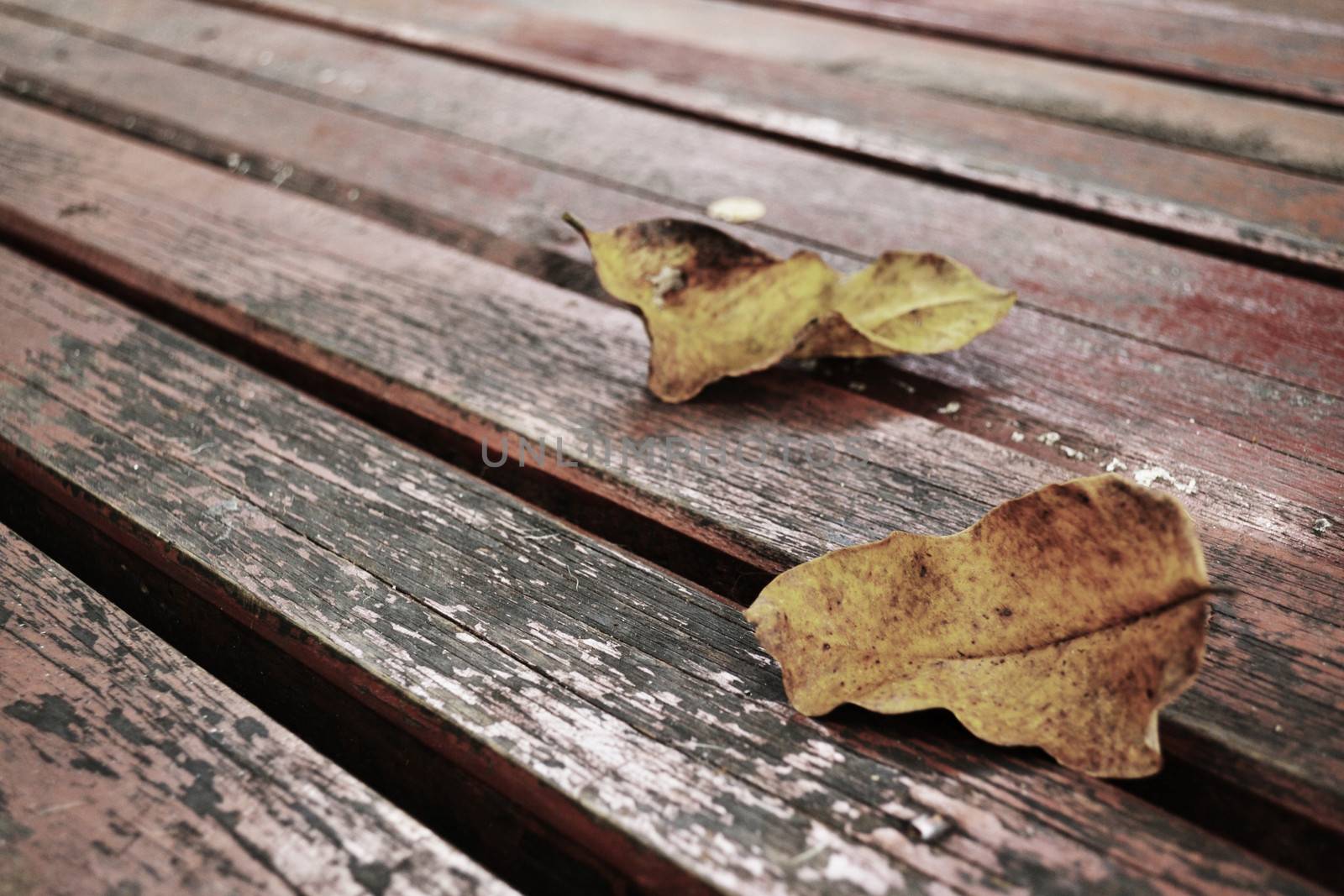 Brown wood flooring with dry leaves in the park.