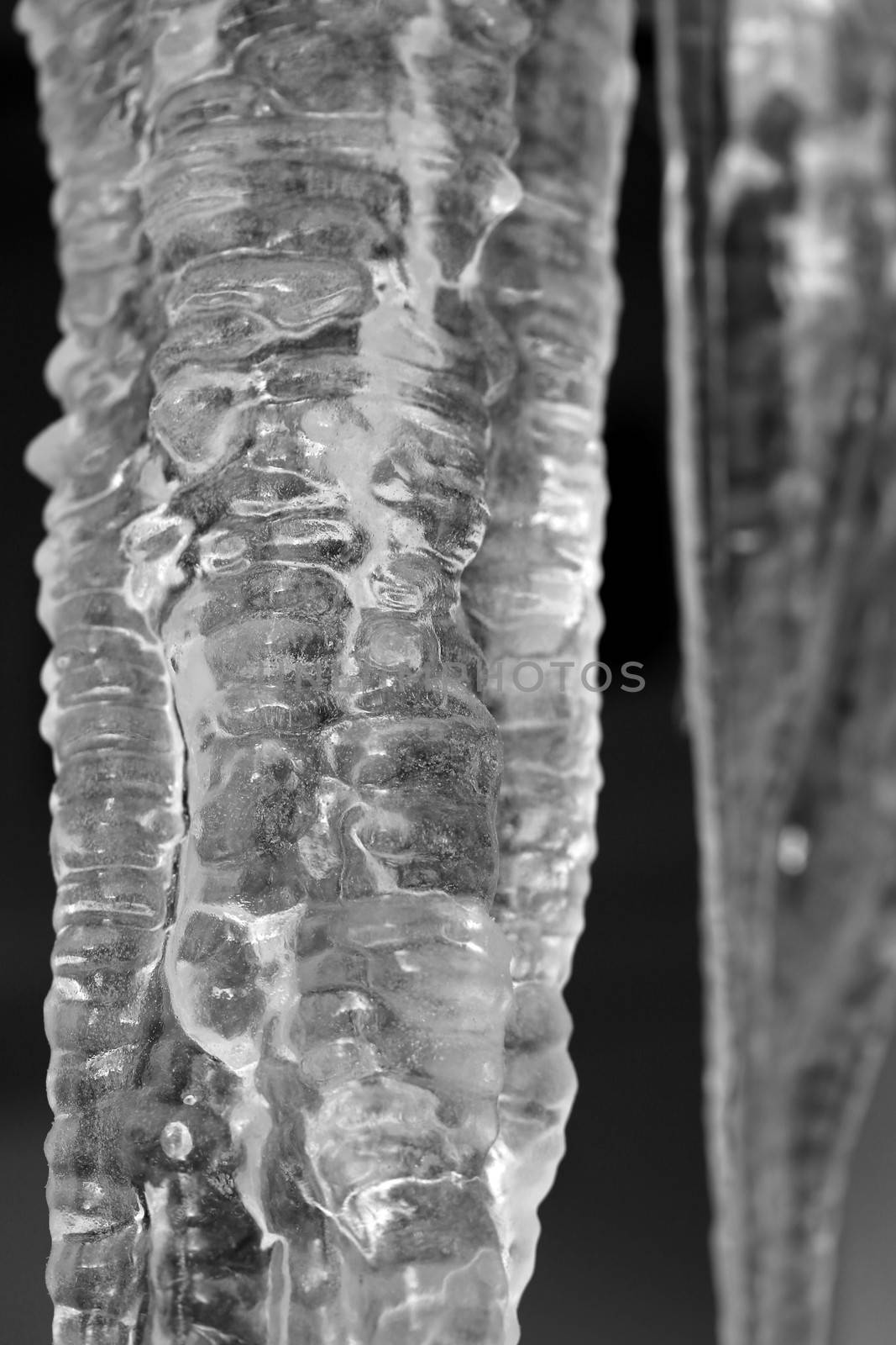 Icicle closeup