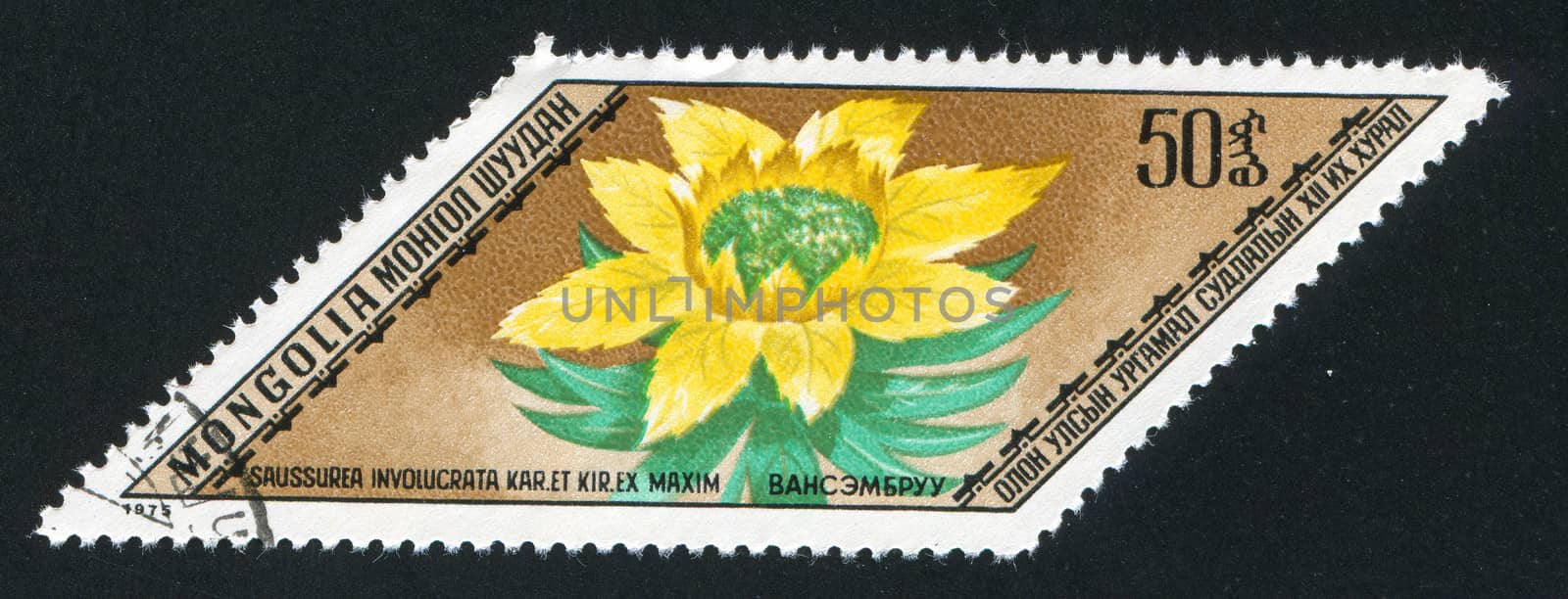 MONGOLIA - CIRCA 1975: stamp printed by Mongolia, shows  flower, circa 1975