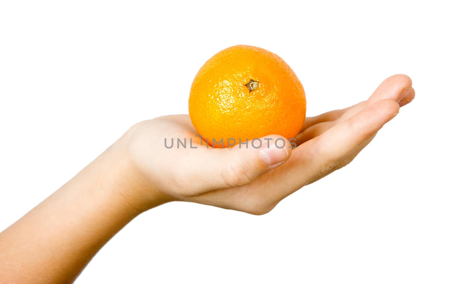 tangerine on the palm of the child. white background