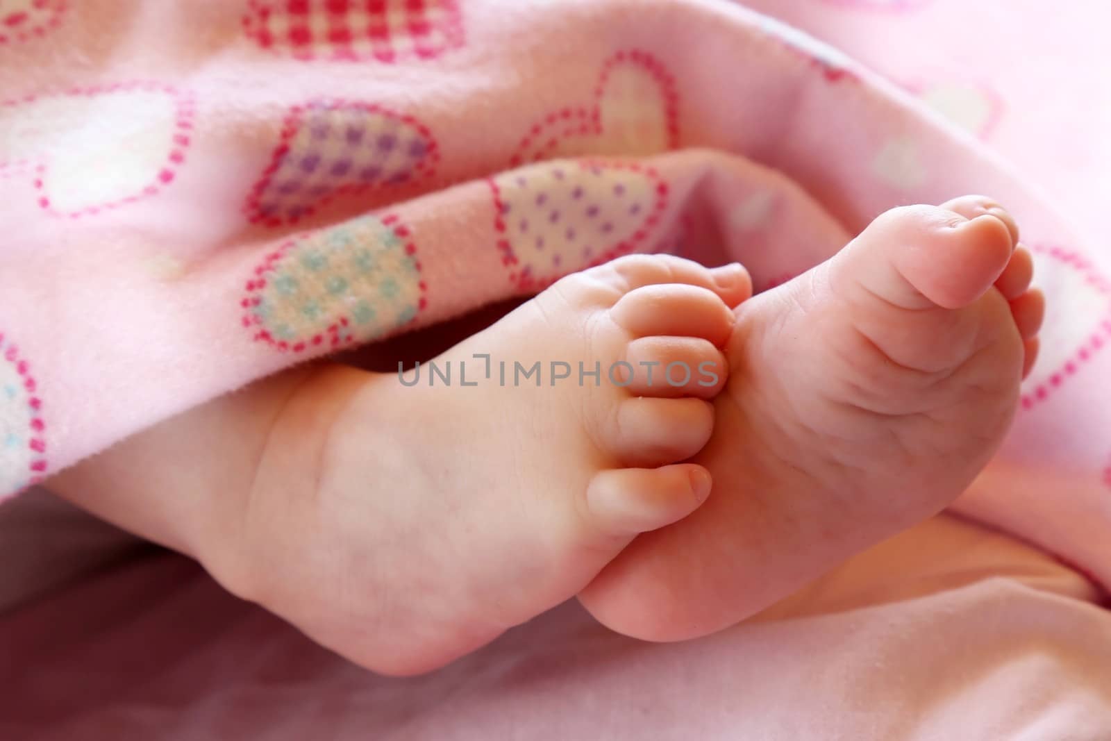 Baby's cute feet against a pink background