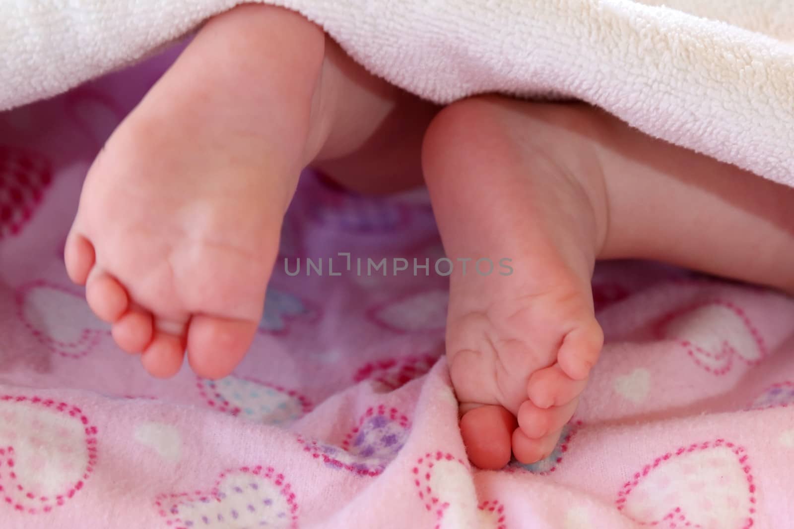 Baby's cute feet against a pink background