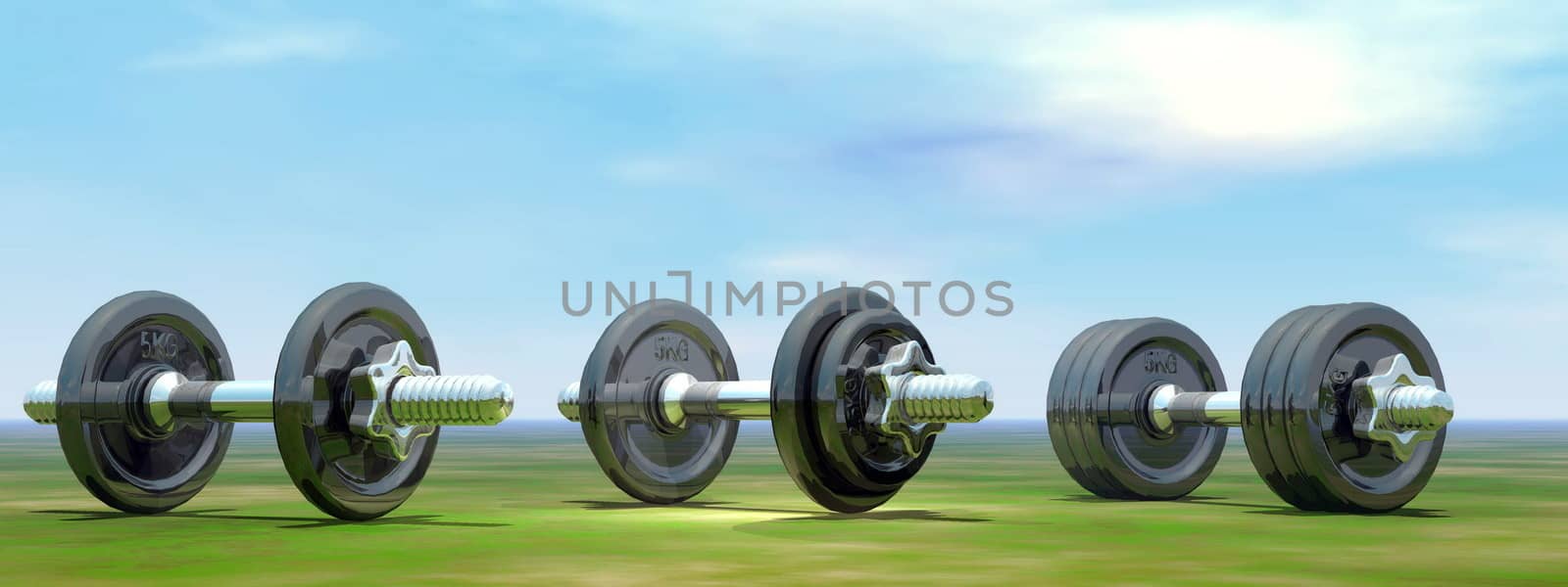 Three different dumbbells on the grass by beautiful day