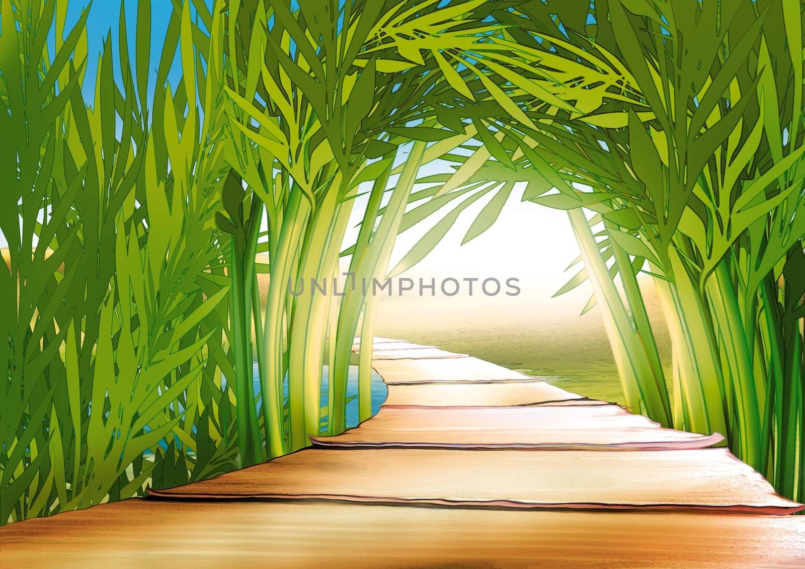 Bamboo Grove - Background Illustration