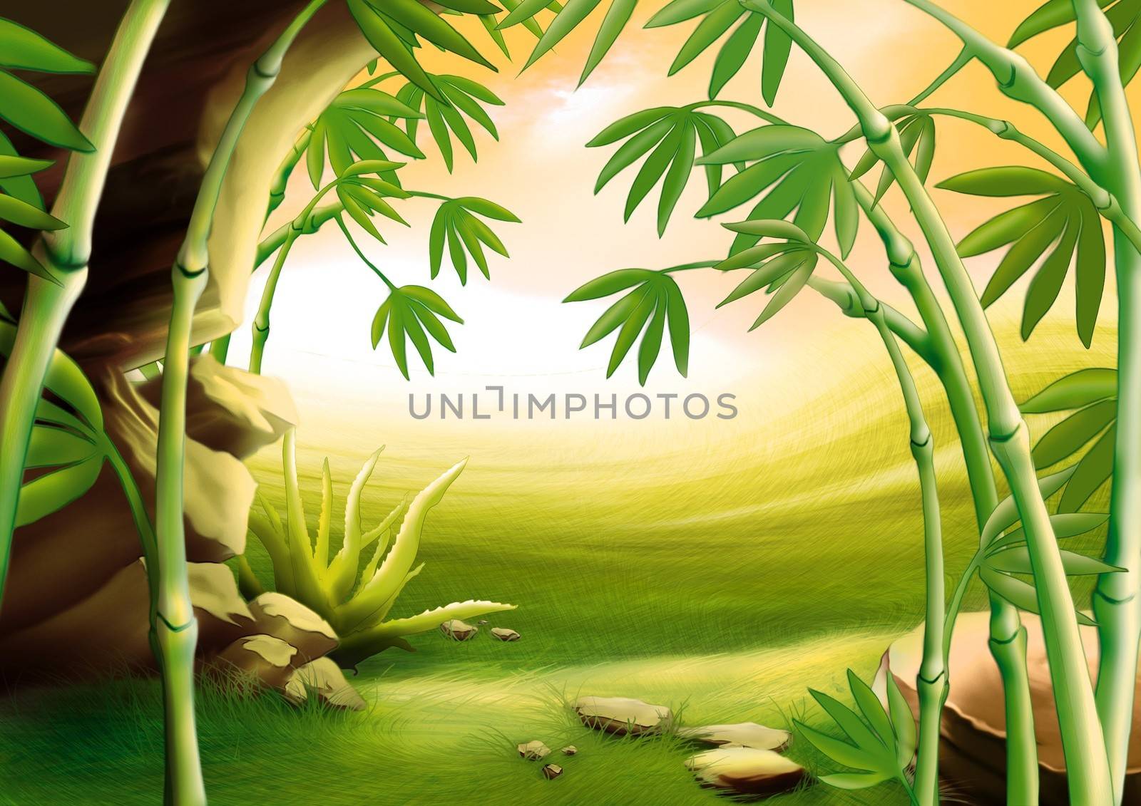 Bamboo - Background Illustration