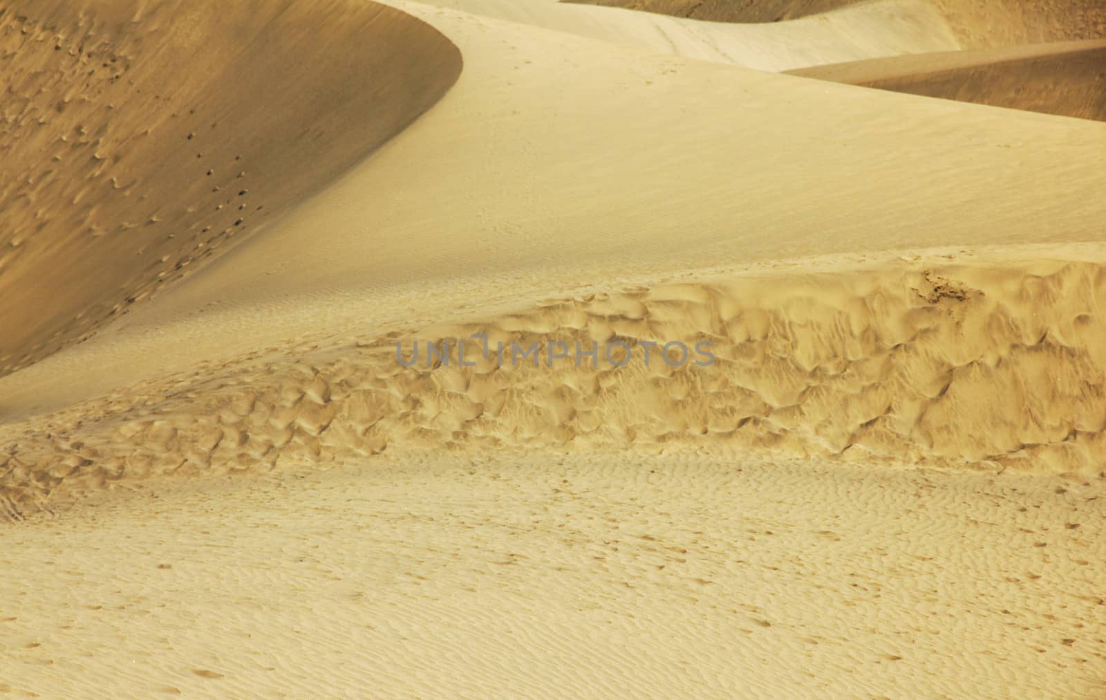Spain. Canary Islands. Gran Canaria island. Dunes of Maspalomas