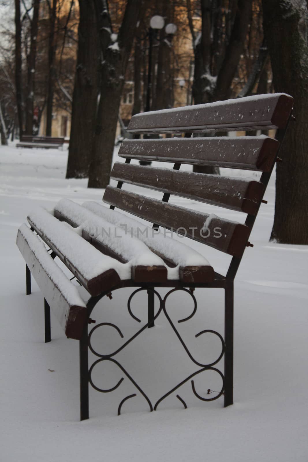 Empty bench in a winter park by dedmorozz