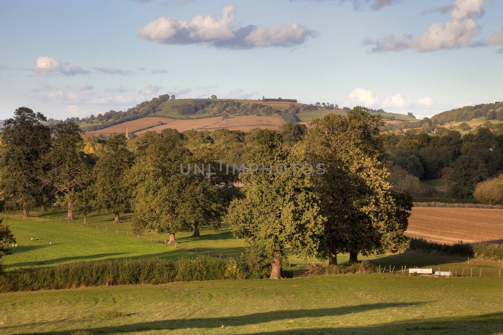 Looking past the spire at Mickleton towards Meon Hill on a spring evening, Chipping Campden, Gloucestershire, England.