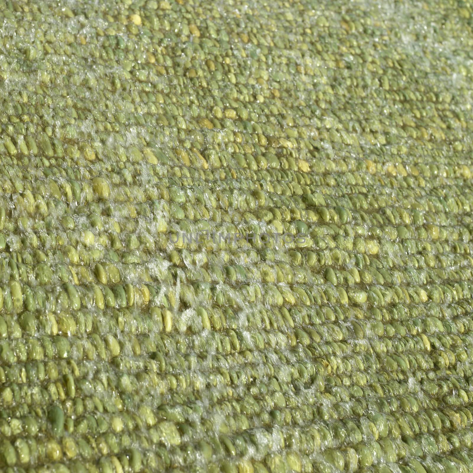 Cascade of water over green pebbles