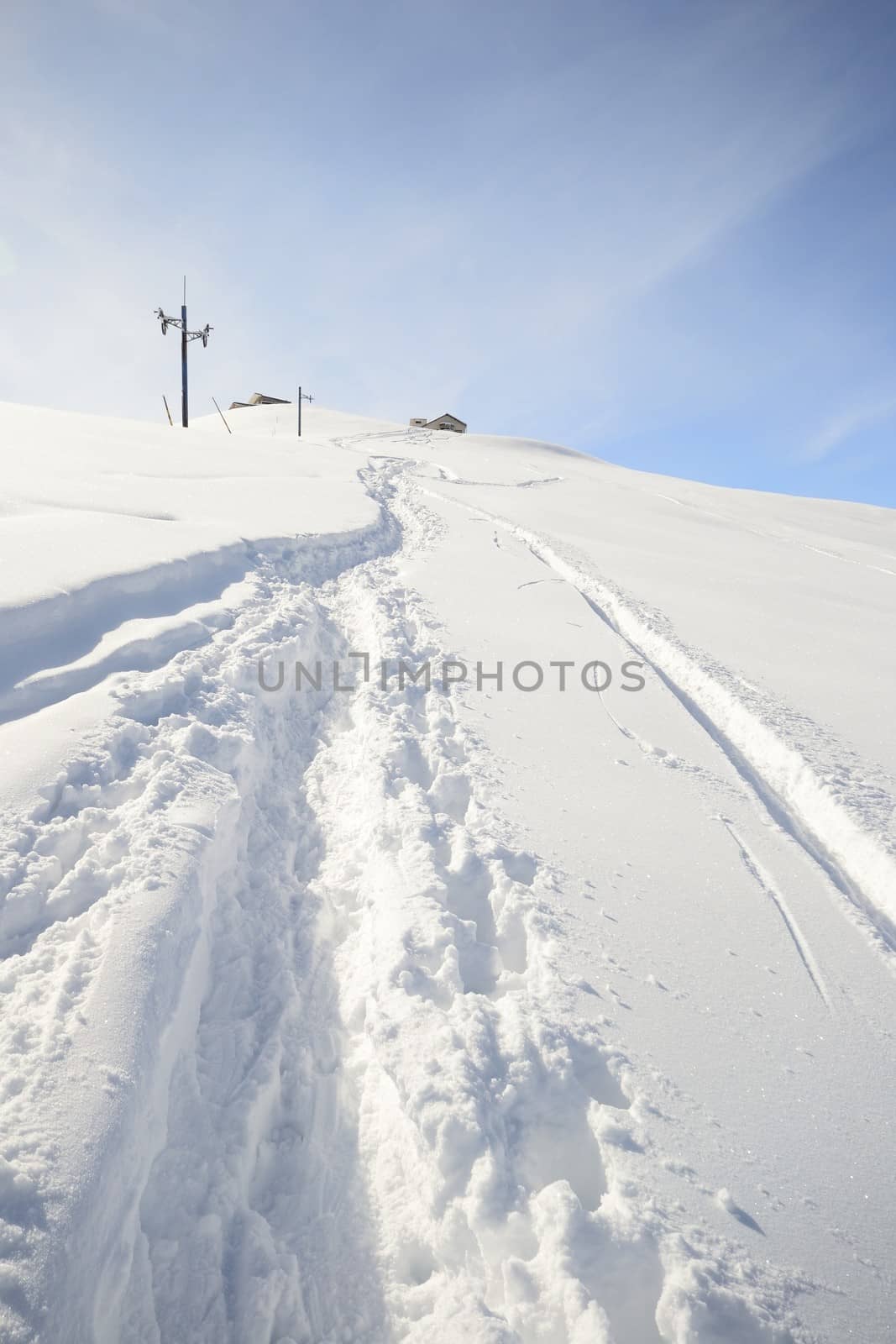 Ascent tour ski tracks on snowy slope with sparse larch and birch tree and winter scenic landscape