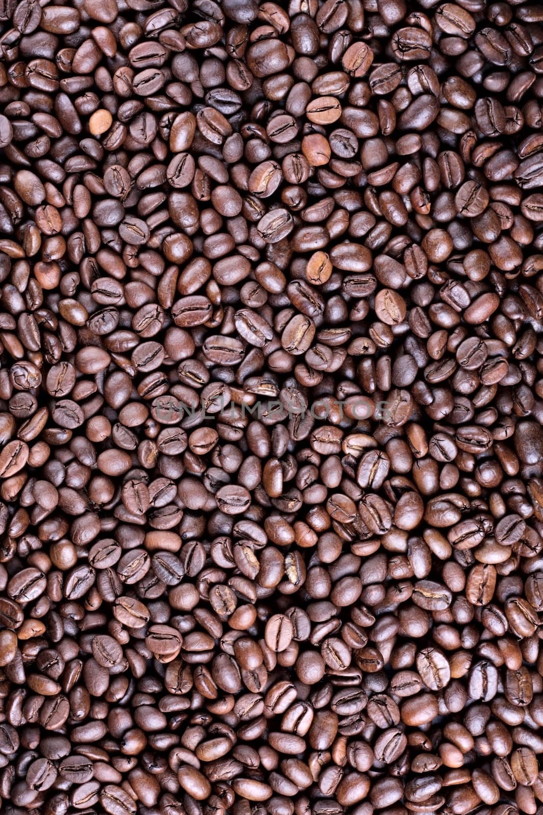 Many brown roasted coffee beans at background